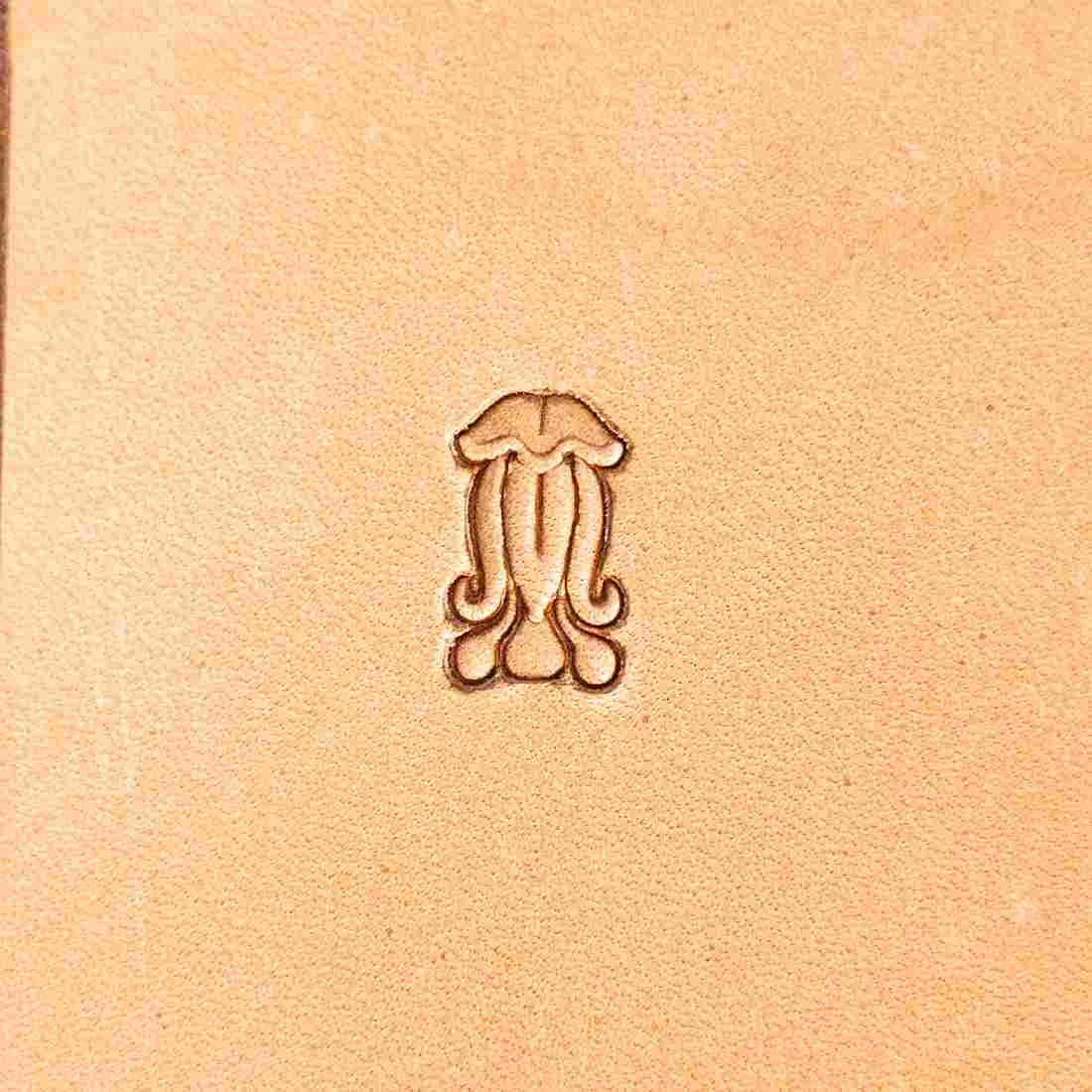LT154 Ornate Border Leather Stamping Tool– Ornate Border 14x8mm (5/9" x 5/16")