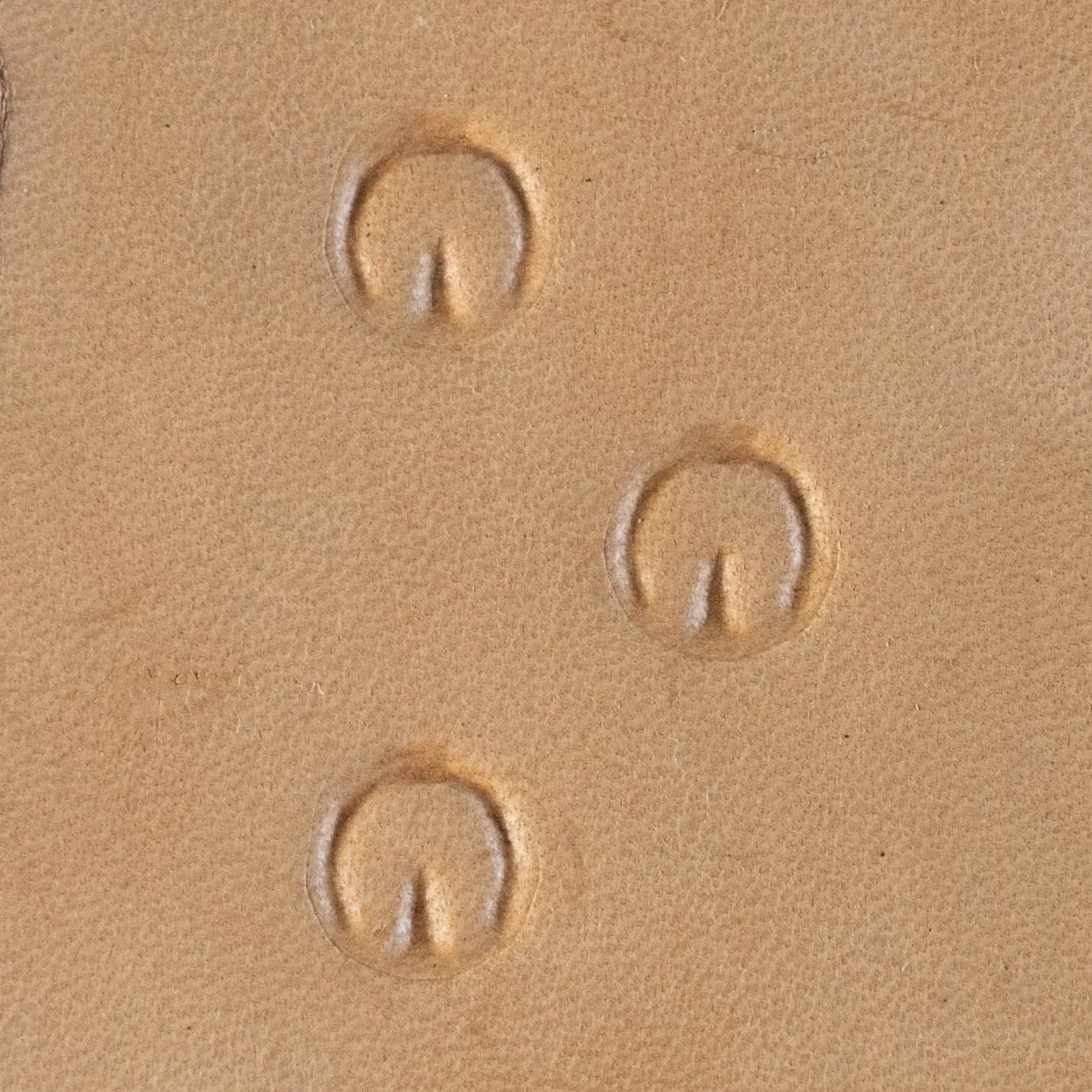 LT248 Footprint Leather Stamping Tool–Hoof Mark Footprint 11x12mm (7/16" x 7/15")