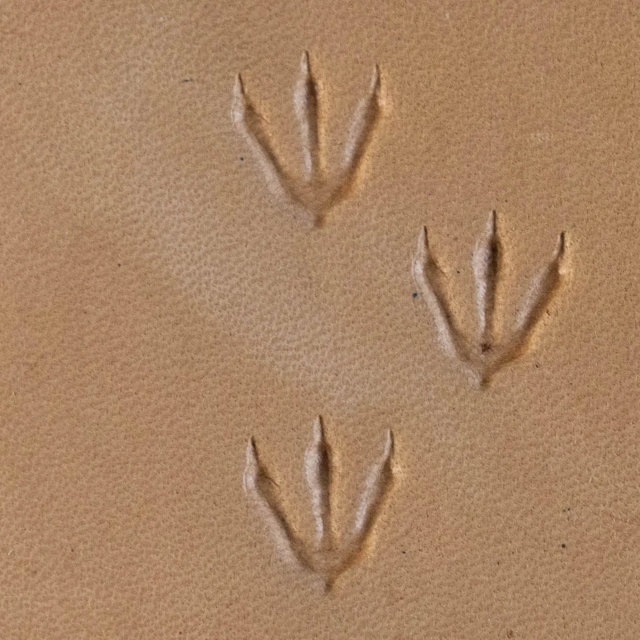 Footprint Leather Stamp – Bird Track