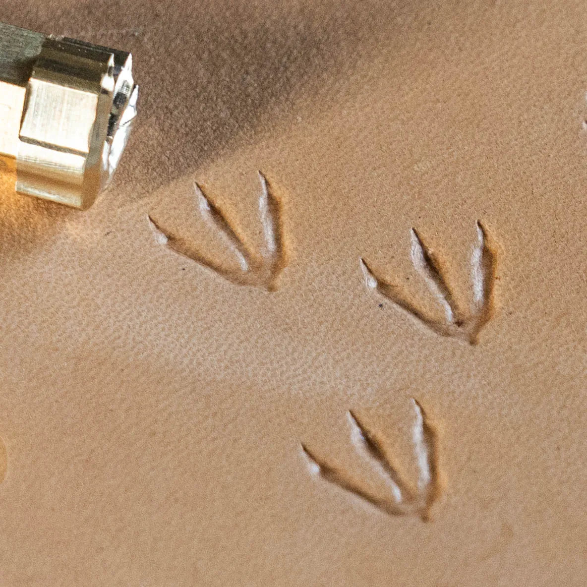 LT250 Footprint Leather Stamping Tool–Dinosaur Track Footprint 12x14mm (7/15" x 5/9")