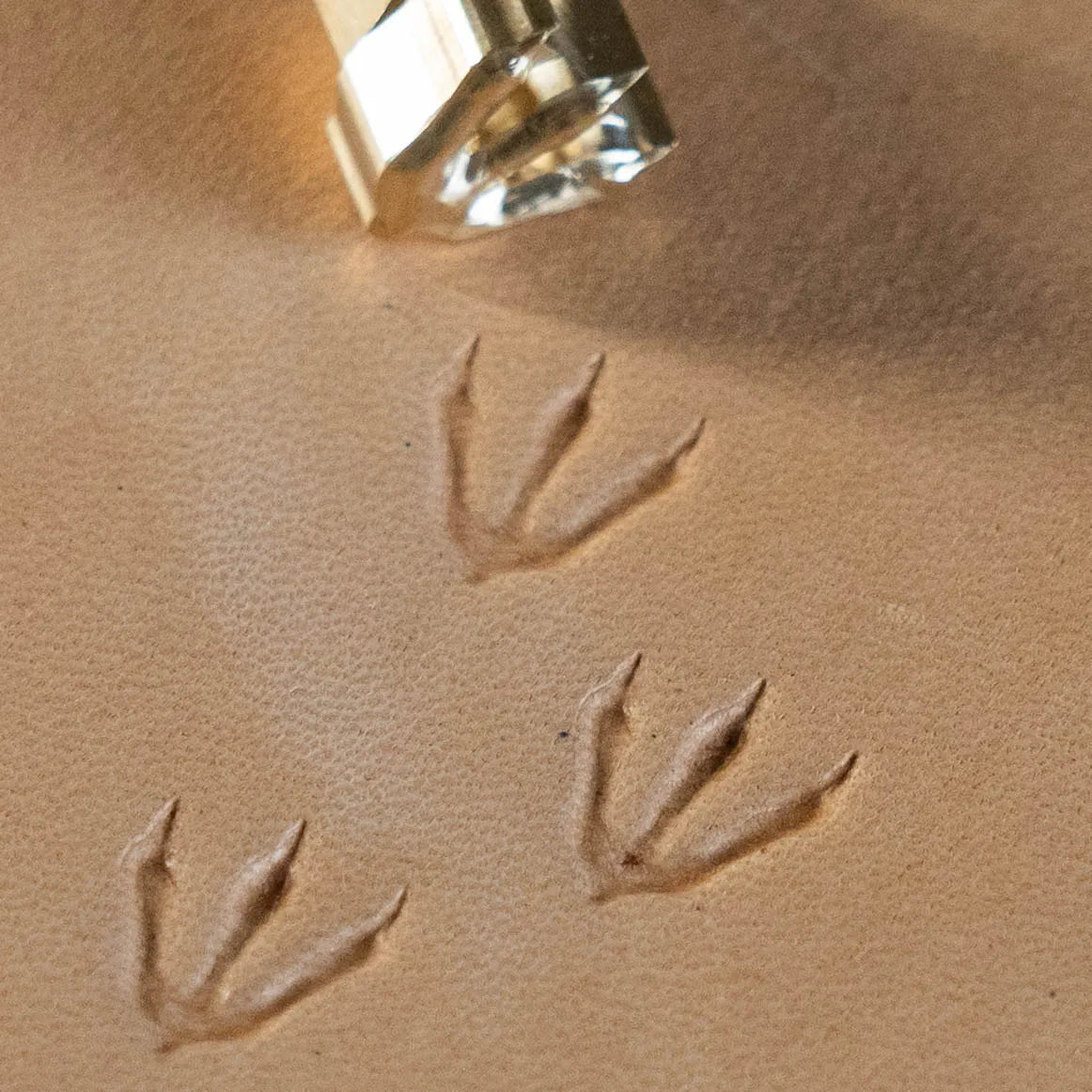 LT250 Footprint Leather Stamping Tool–Dinosaur Track Footprint 12x14mm (7/15" x 5/9")