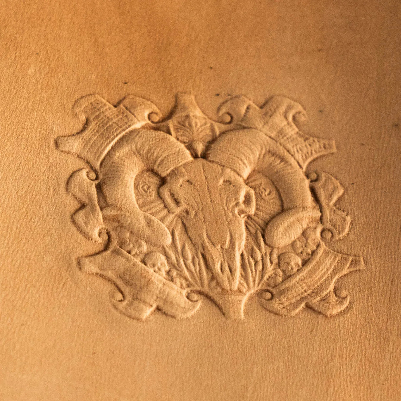 BP102 Bumper Tool Leather Embossing-65x60mm