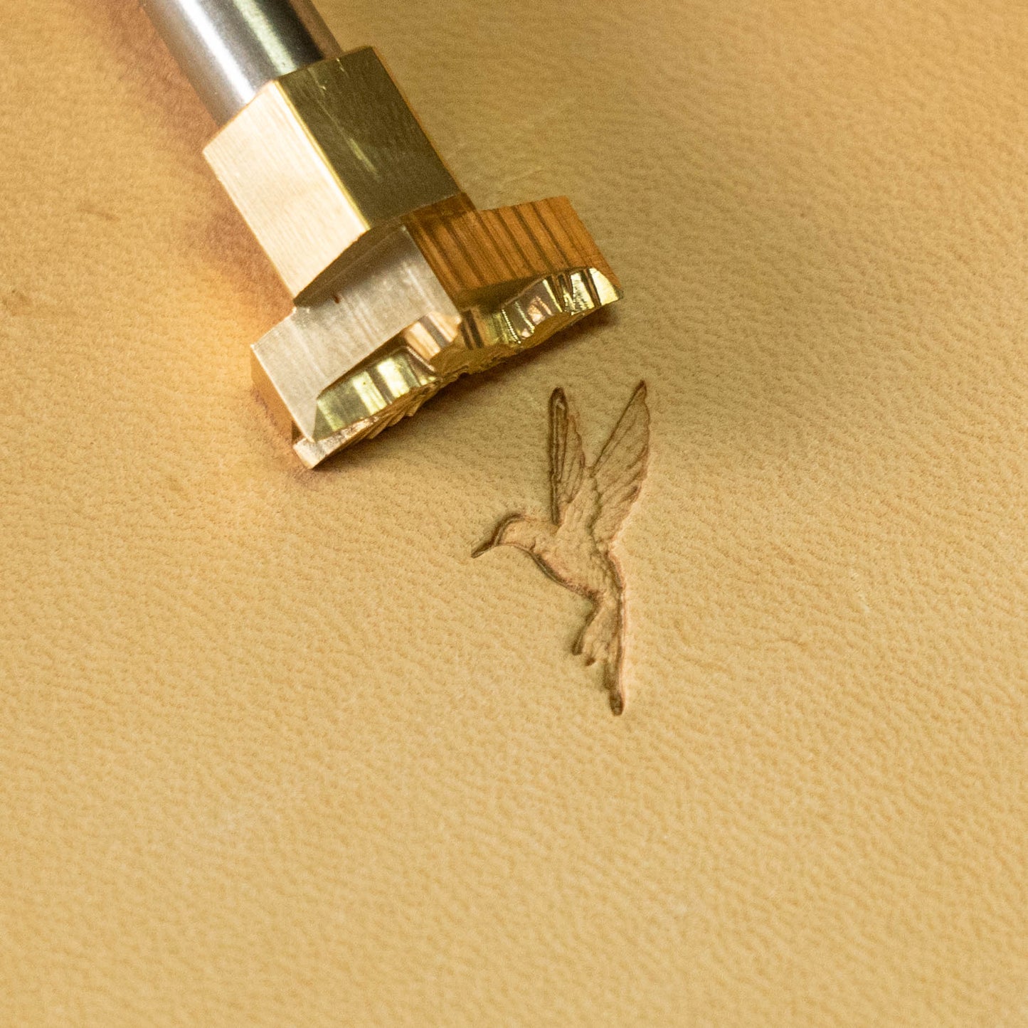 LT717 Hummingbird Leather Stamping Tool– Hummingbird 9x20mm (5/14" x 11/14")