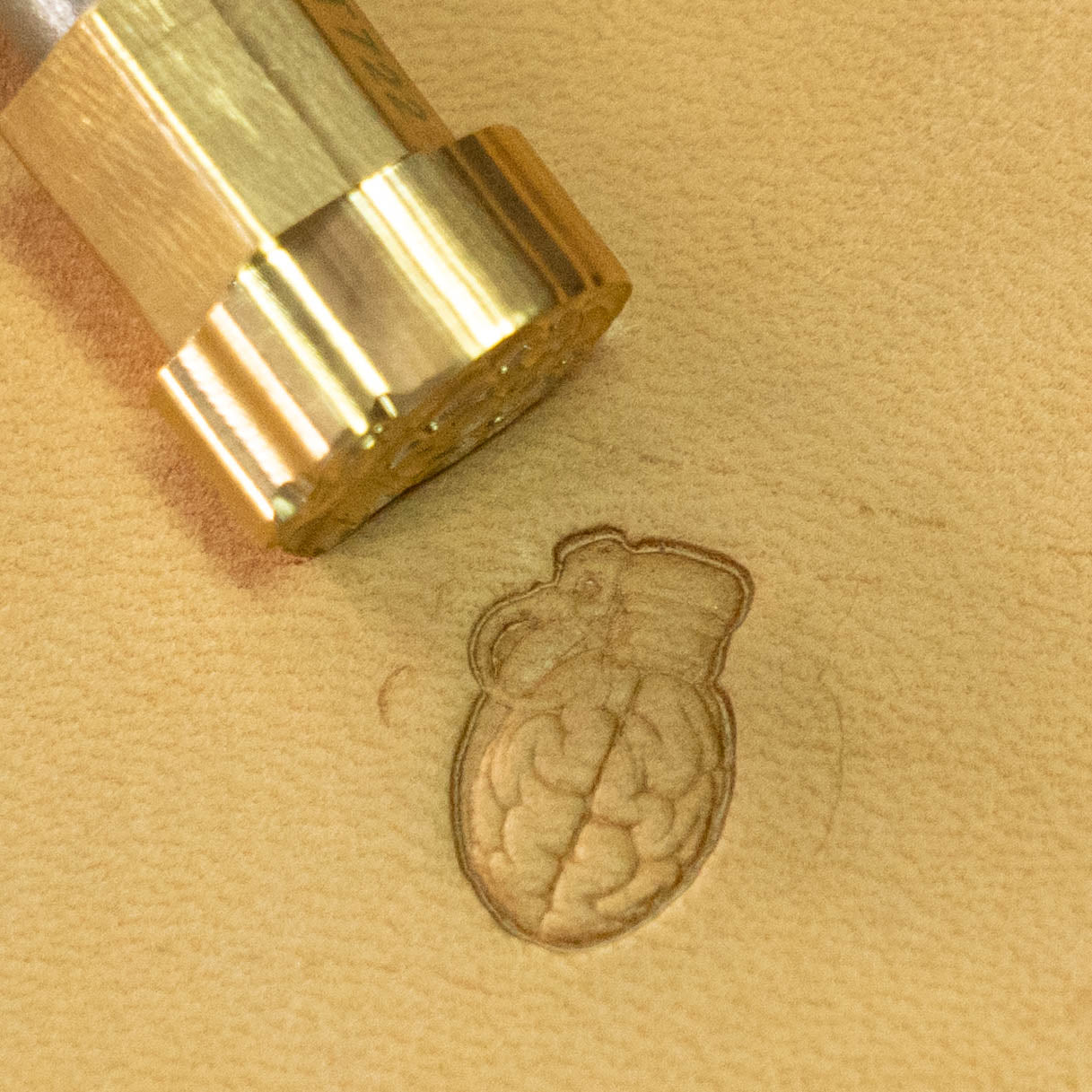 LT722 Brain Grenade Leather Stamping Tool– Brain Grenade 10x15mm (2/5" x 7/12")