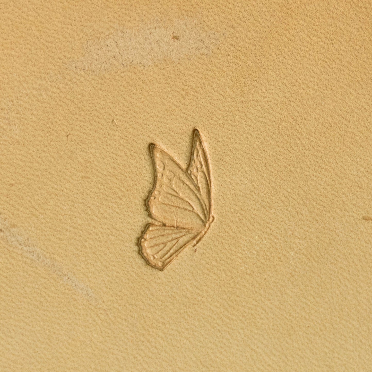 LT714 Butterfly Leather Stamping Tool for Professional Crafters – Delicate Wings Butterfly 15x18mm (7/12" x 5/7")