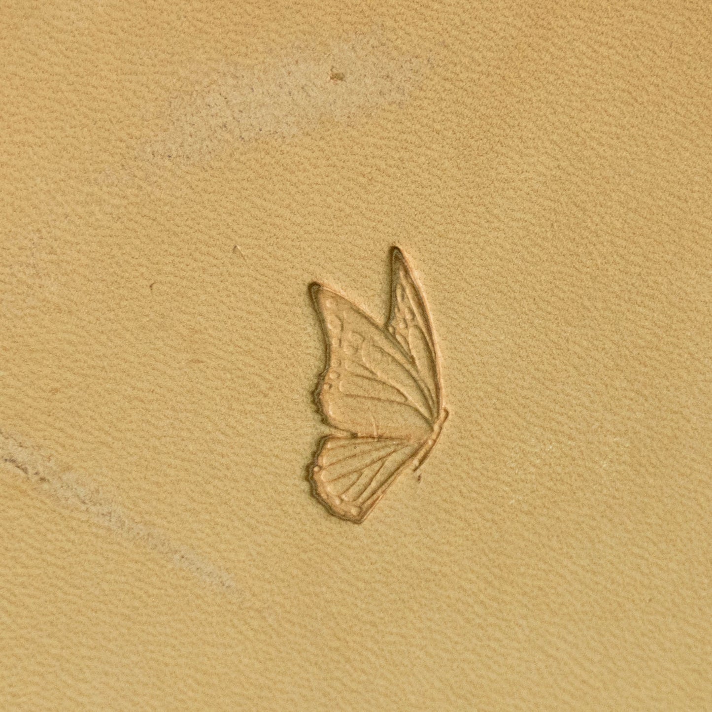 LT714 Butterfly Leather Stamping Tool for Professional Crafters – Delicate Wings Butterfly 15x18mm (7/12" x 5/7")