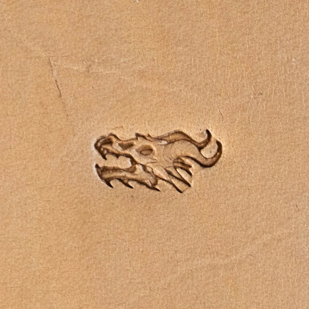 Dragon Leather Stamp – Fierce Head