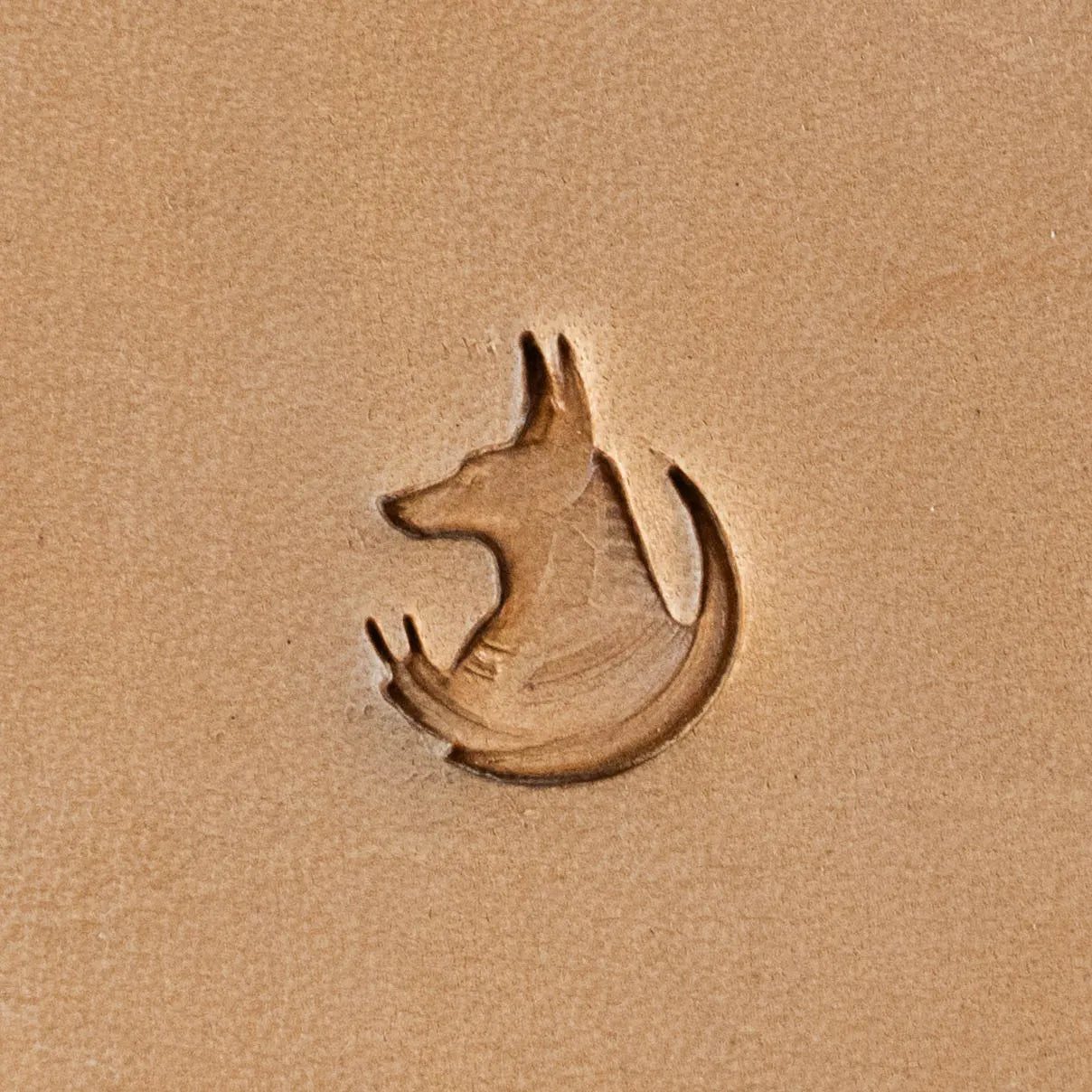 LT666 Styalized Jackal Leather Stamping Tool– Styalized Jackal 14x17mm (5/9" x 2/3")