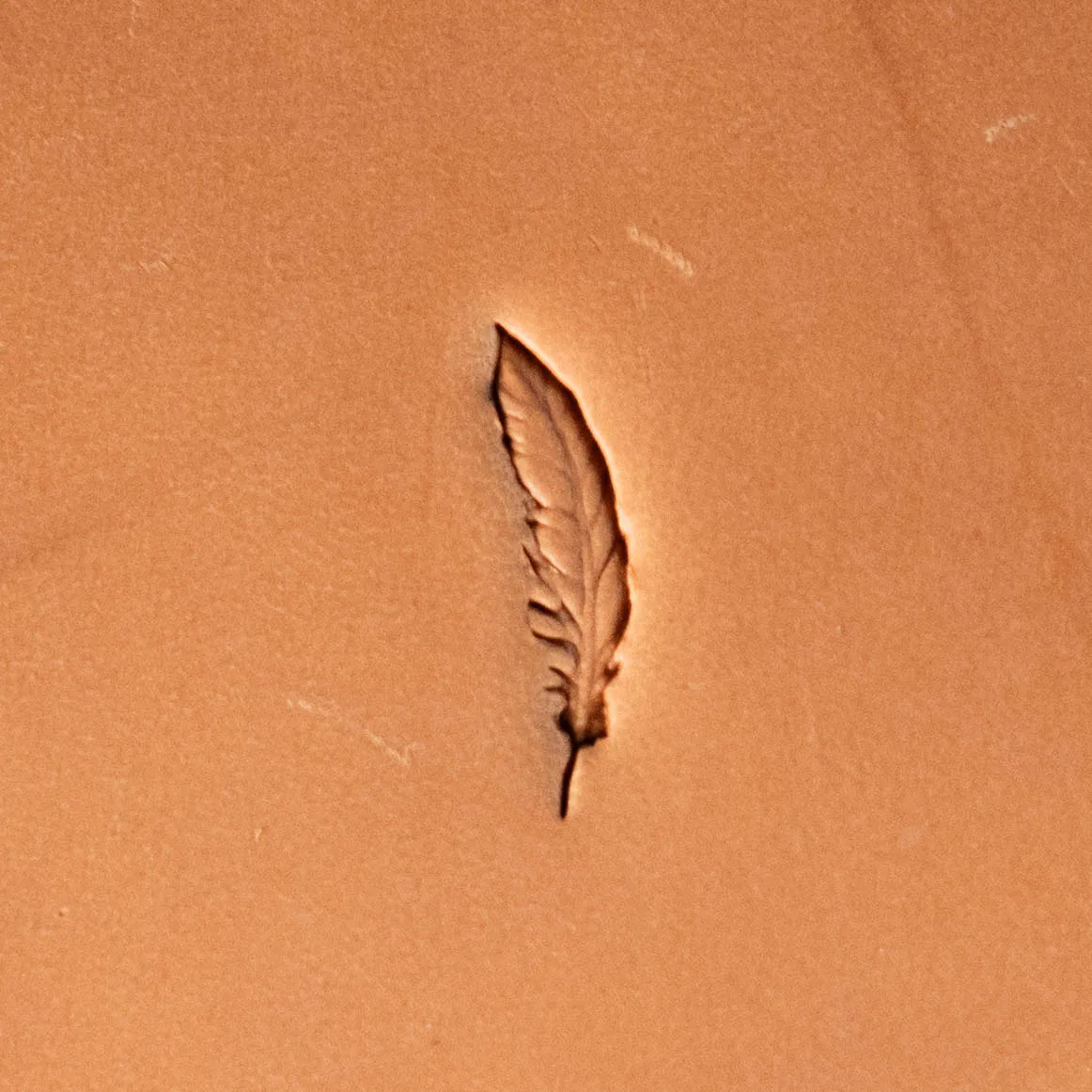 Animal Leather Stamp – Feather