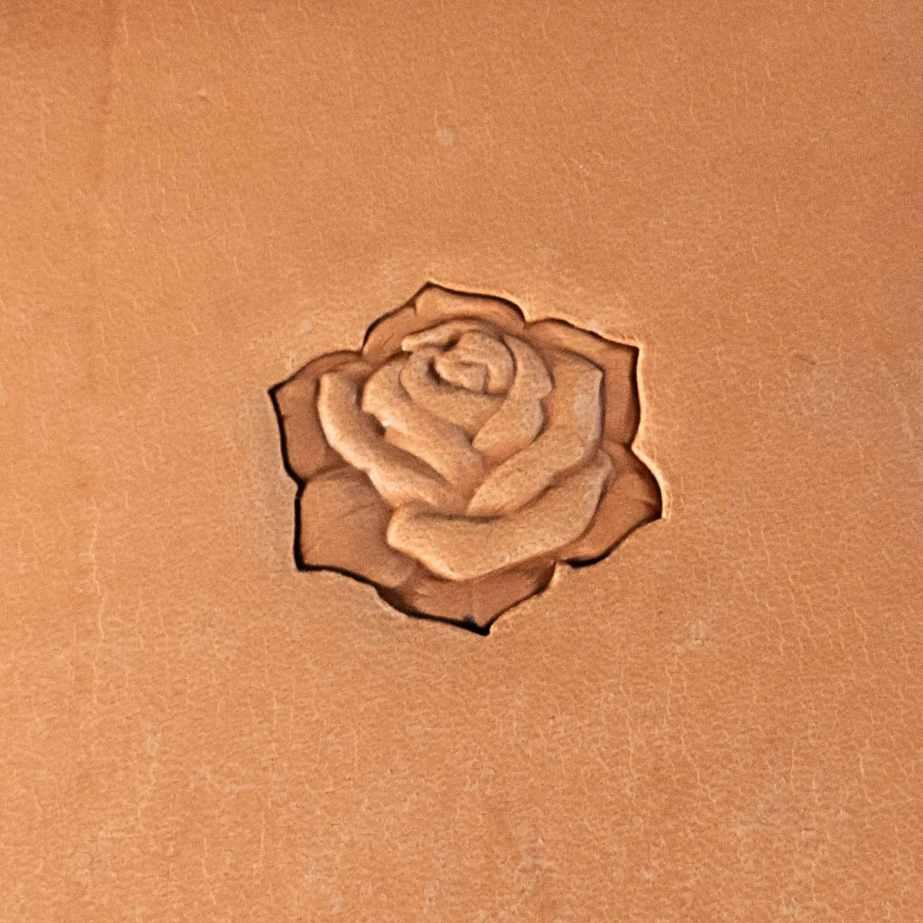 LT628 Rose Leather Stamping Tool–Blossom Rose 20x19mm (11/14" x 3/4")