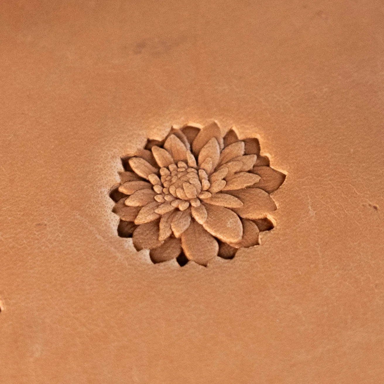 Flower Leather Stamp – Succulent Style