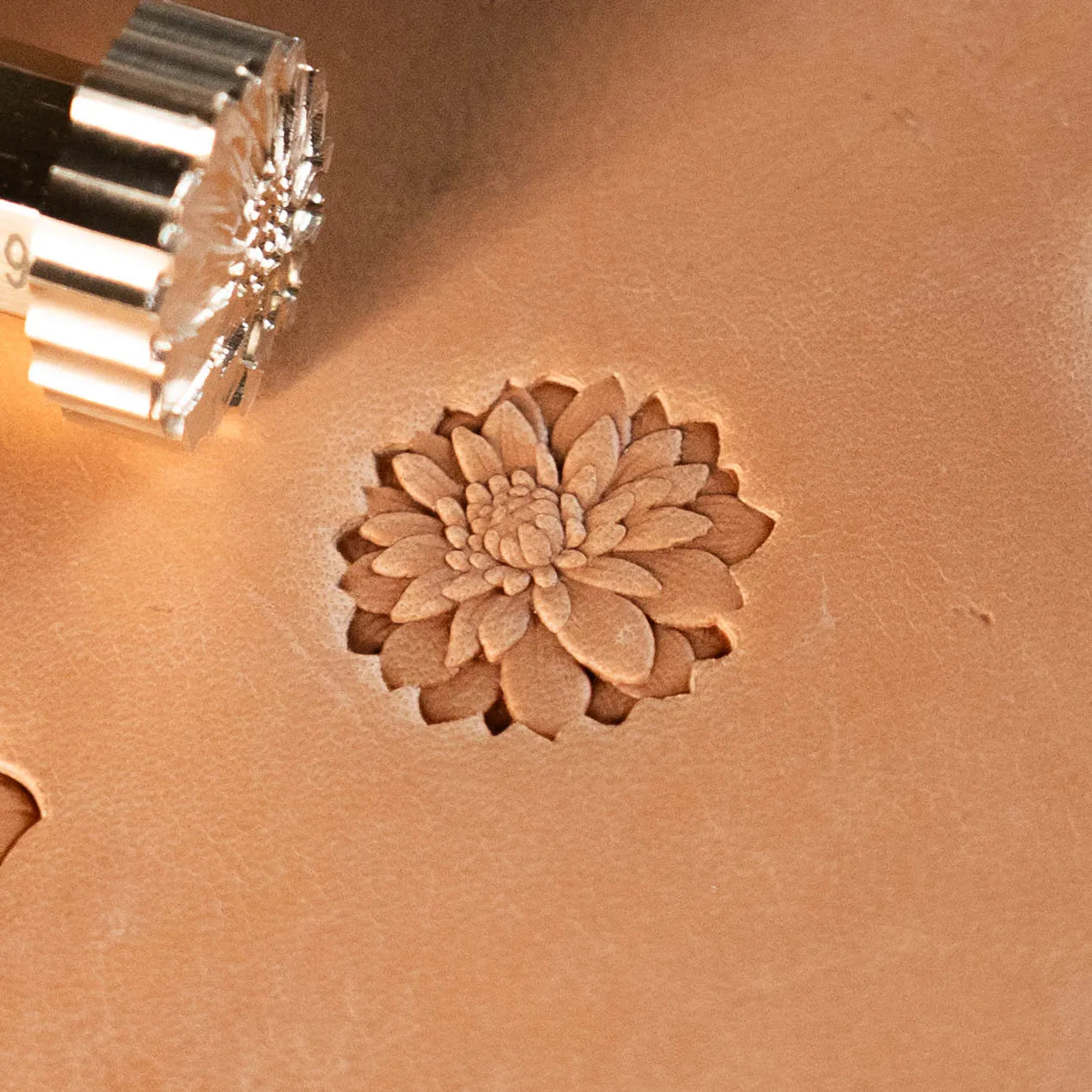 LT629 Flower Leather Stamping Tool–Chrysanthemum Flower 20x18mm (11/14" x 5/7")