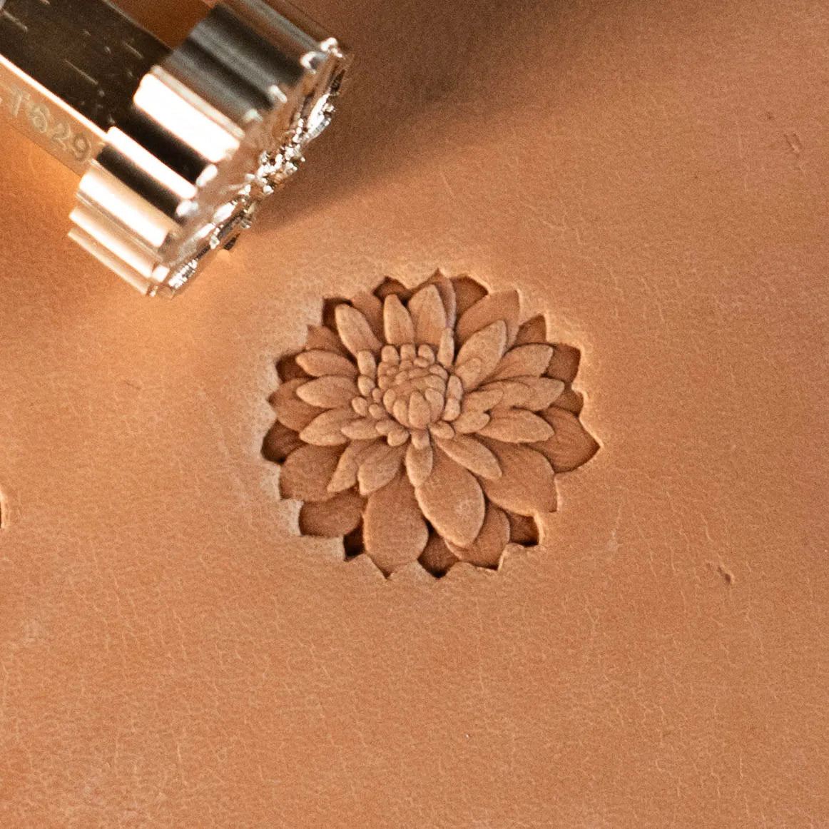 LT629 Flower Leather Stamping Tool–Chrysanthemum Flower 20x18mm (11/14" x 5/7")