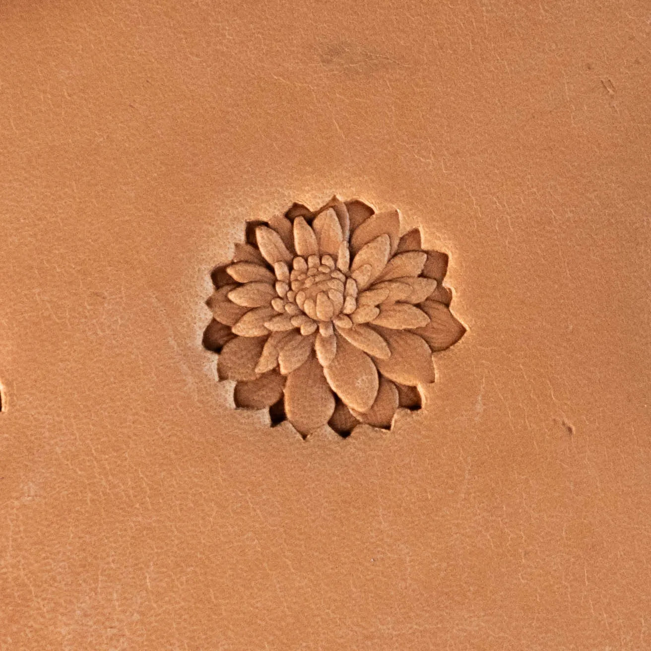 LT629 Flower Leather Stamping Tool–Chrysanthemum Flower 20x18mm (11/14" x 5/7")