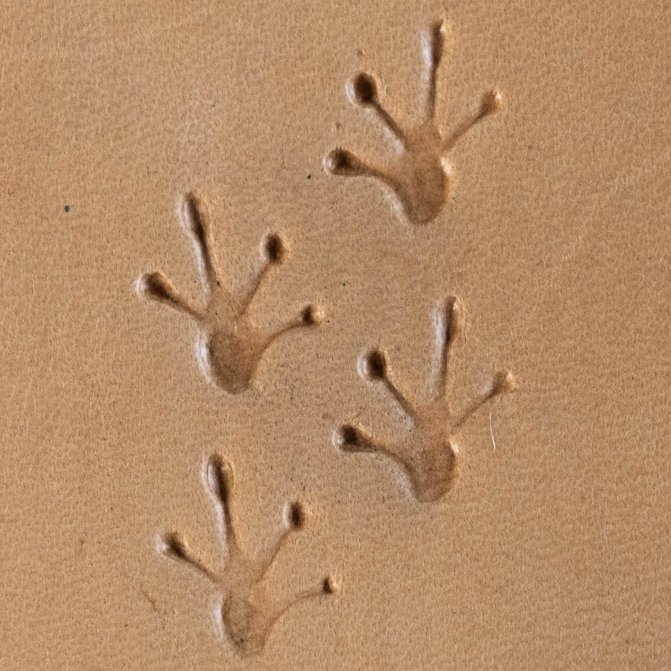 LT616A+B Footprint Leather Stamping Tool–Frog Footprint 12x15mm (7/15" x 7/12")