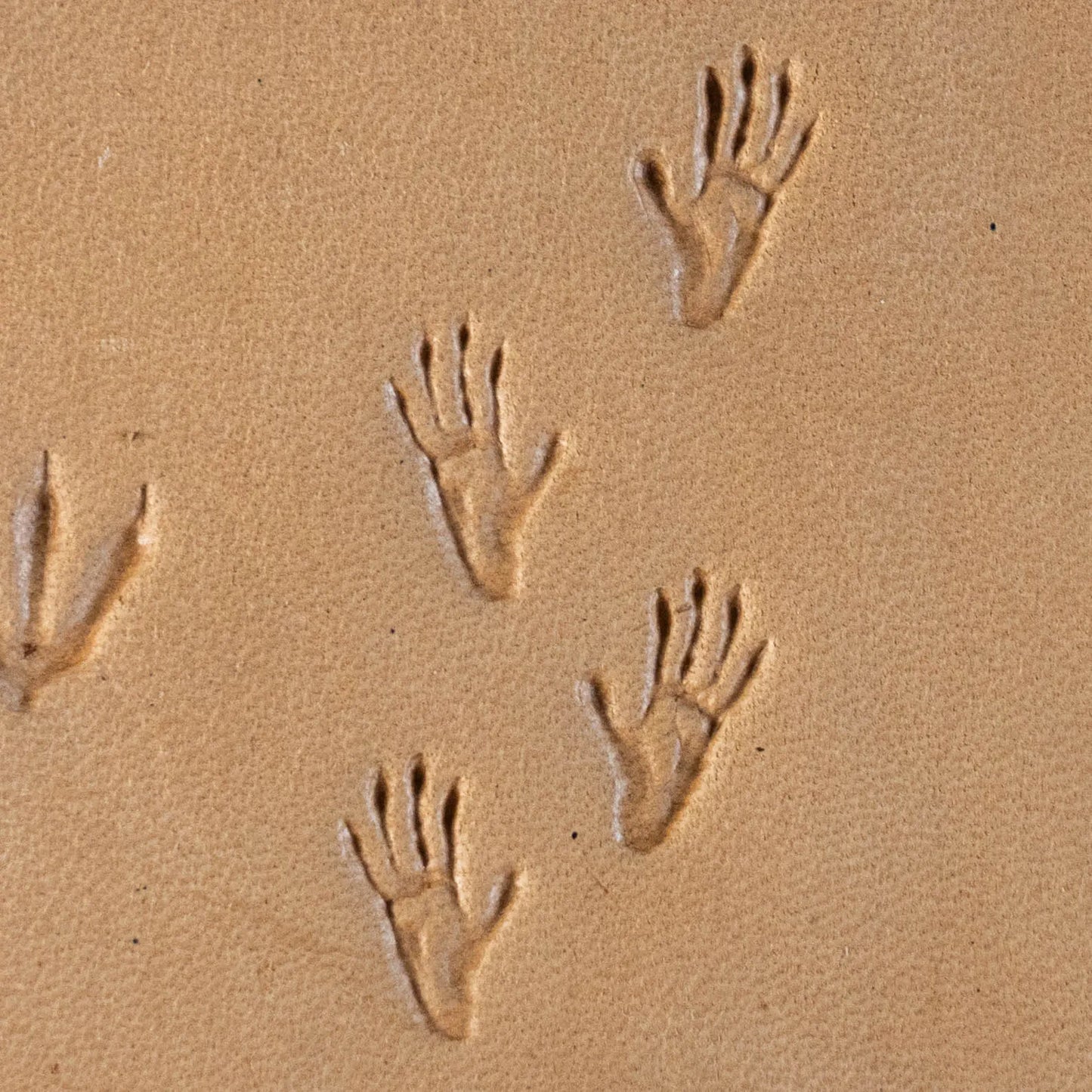 LT275A+B Footprint Leather Stamping Tool–Monkey Tracks Footprint 09x16mm (5/14" x 5/8")