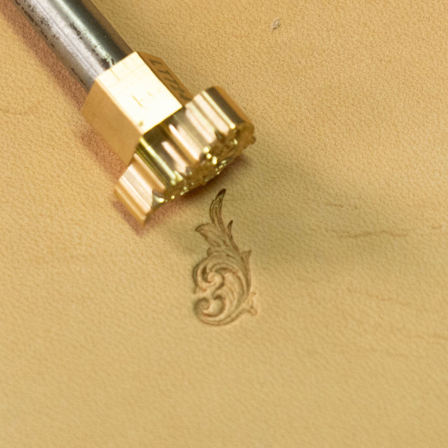 LT724 Flourish Leather Stamping Tool– Flourish 10x19mm (2/5" x 3/4")