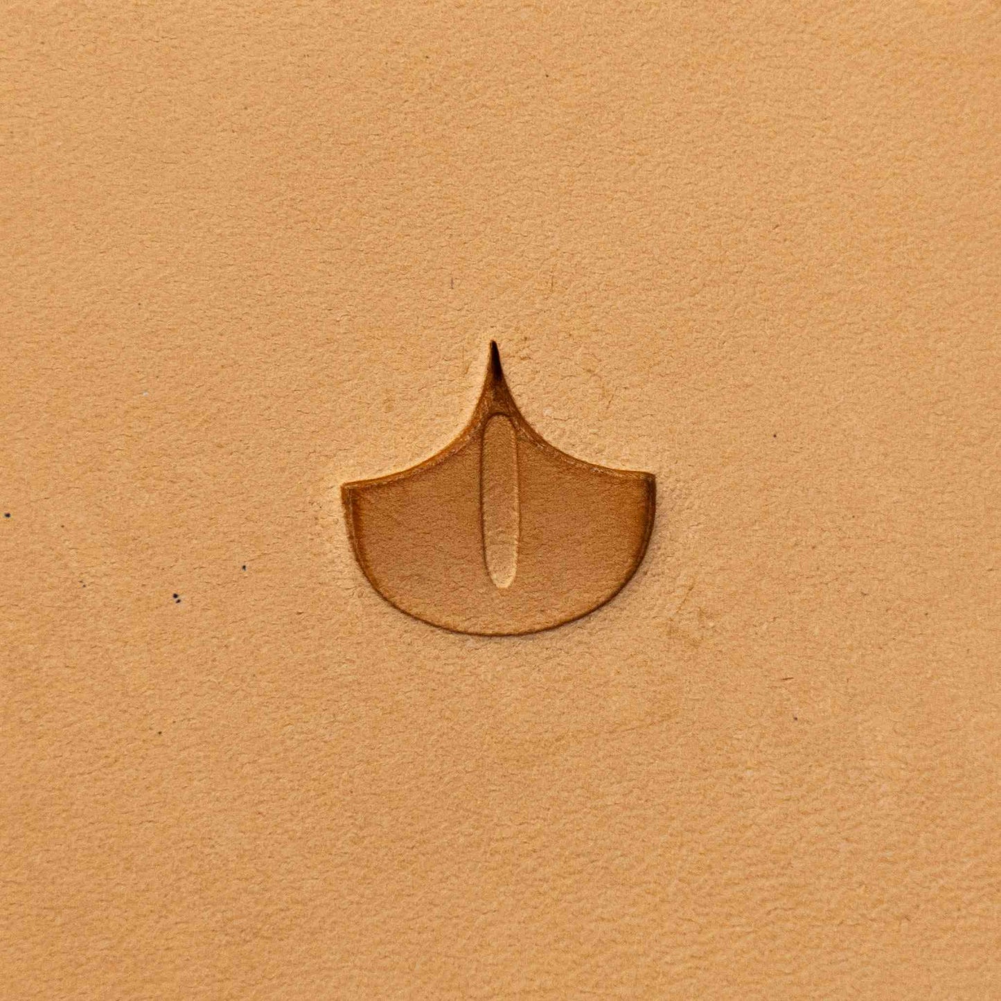 LT312 Scale Design Leather Stamping Tool– Scale Design 15x15mm (7/12" x 7/12")