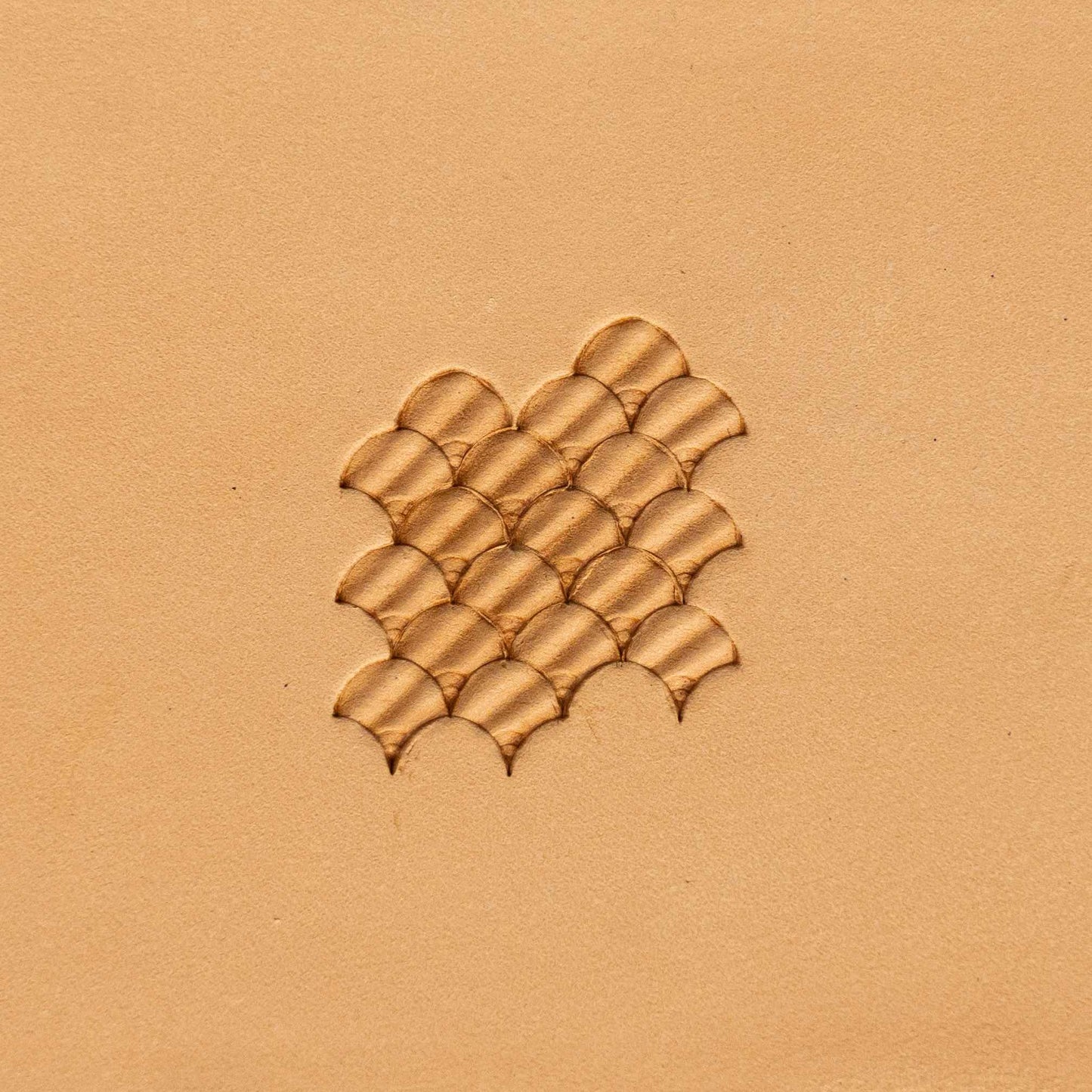 LT321 Scales Leather Stamping Tool– Scales 18x14mm (5/7" x 5/9")