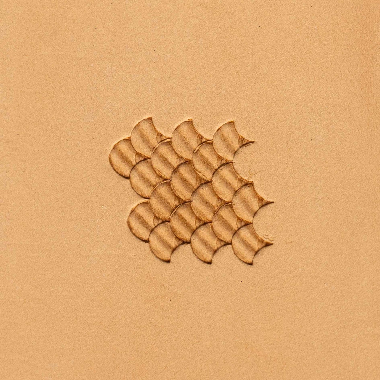 LT321 Scales Leather Stamping Tool– Scales 18x14mm (5/7" x 5/9")