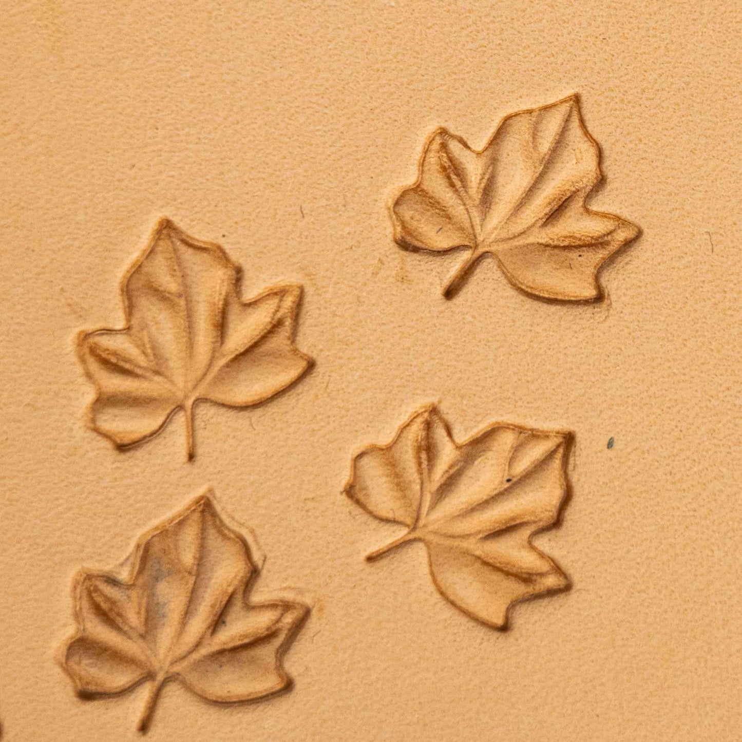LT365 Leaf Leather Stamping Tool–Maple Leaf 15x14mm (7/12" x 5/9")