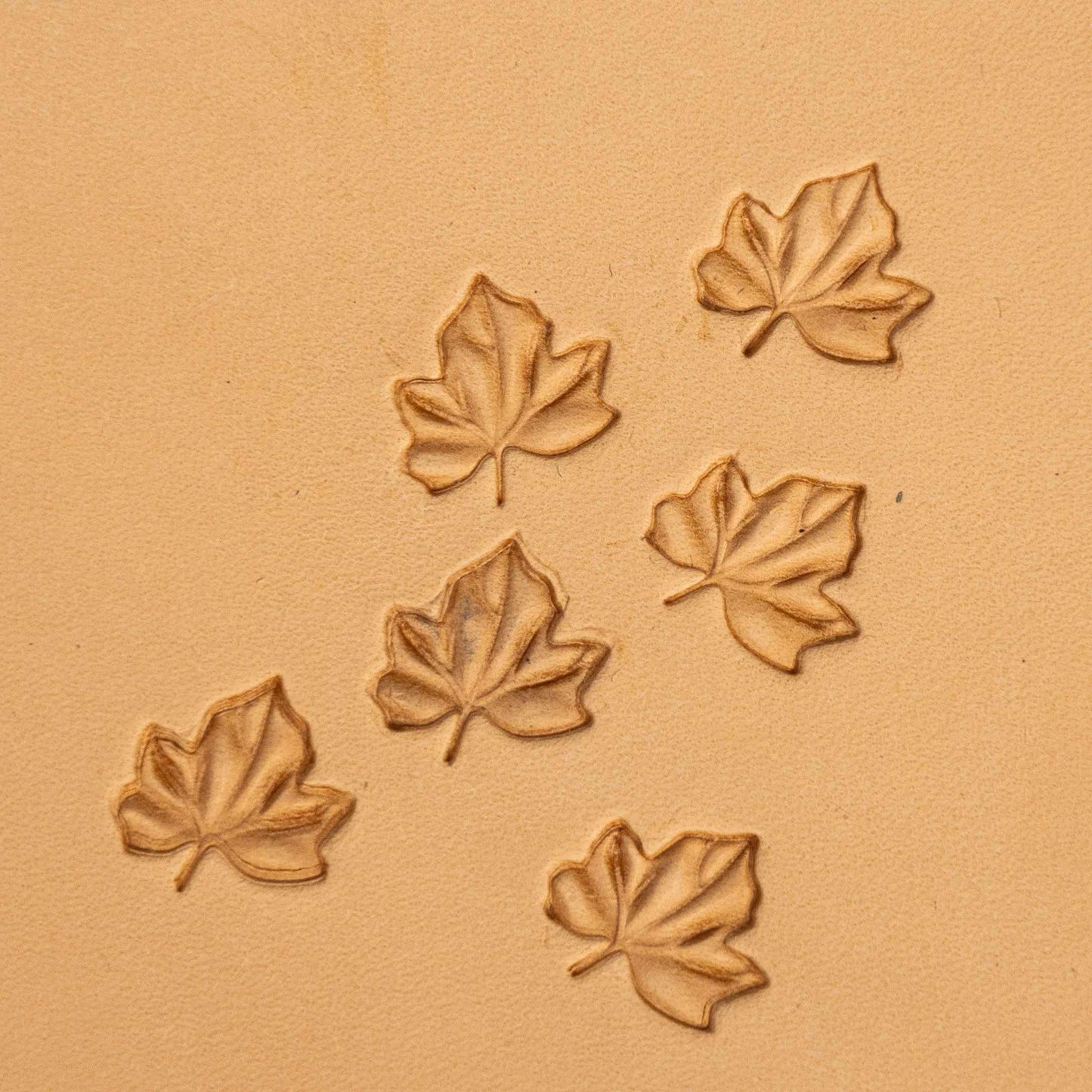 LT365 Leaf Leather Stamping Tool–Maple Leaf 15x14mm (7/12" x 5/9")