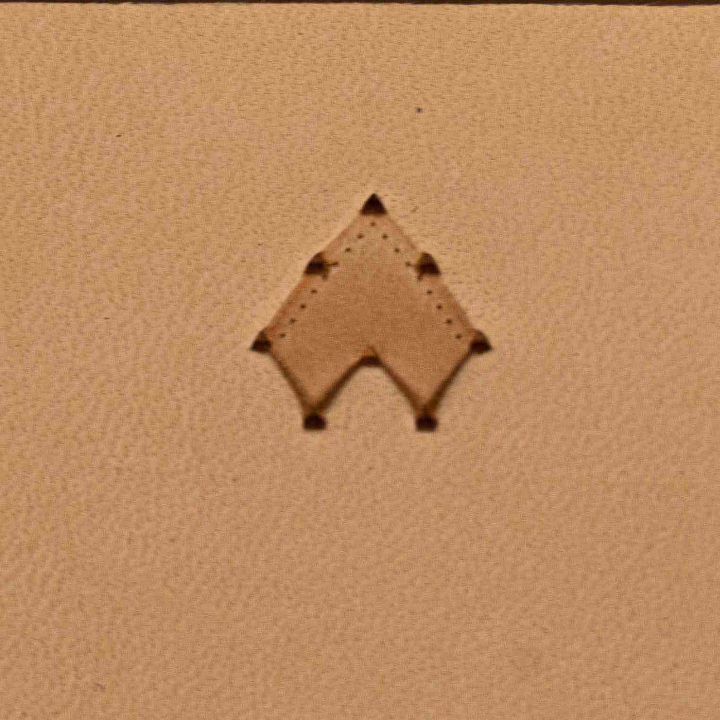 LT267 Scales Leather Stamping Tool– Scales 13x13mm (1/2" x 1/2")