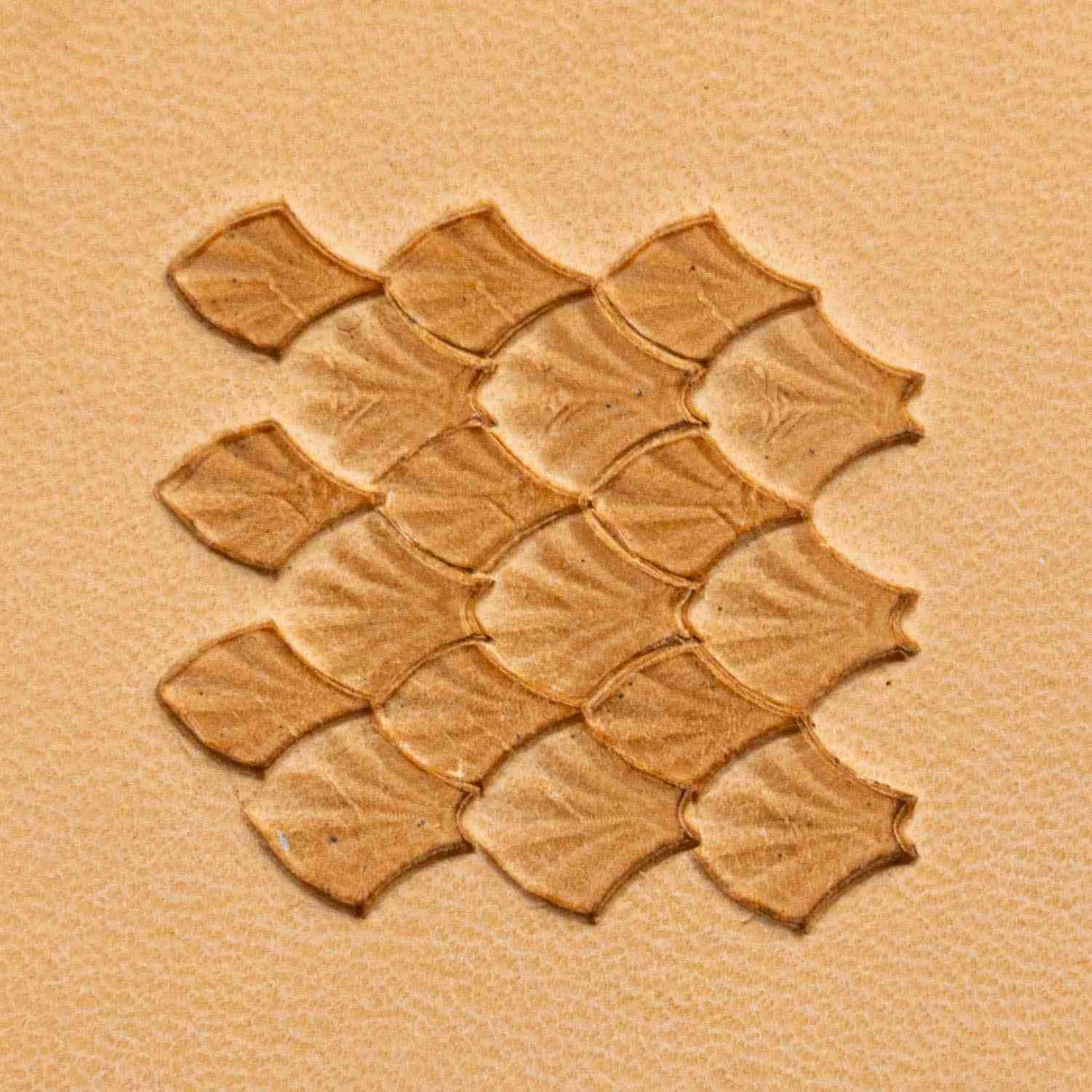 LT411 Fan Scales Leather Stamping Tool– Fan Scales