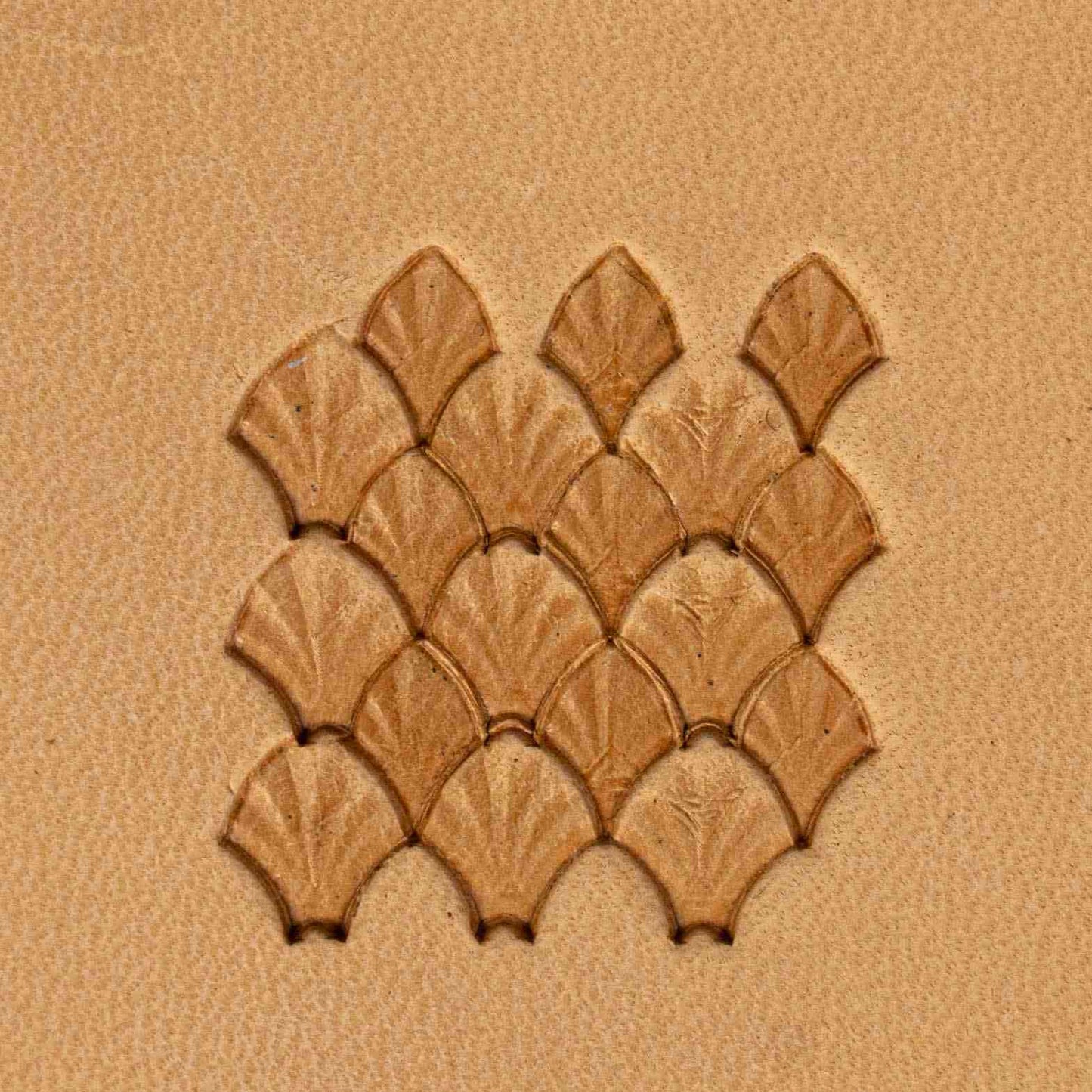 LT411 Fan Scales Leather Stamping Tool– Fan Scales