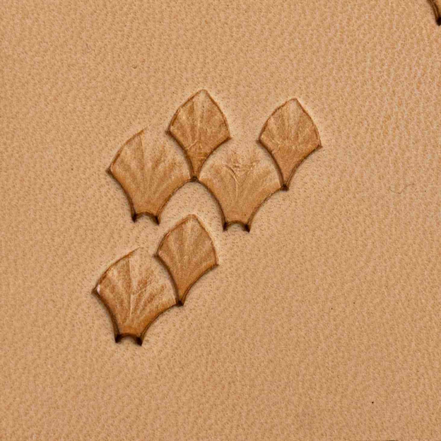 LT411 Fan Scales Leather Stamping Tool– Fan Scales