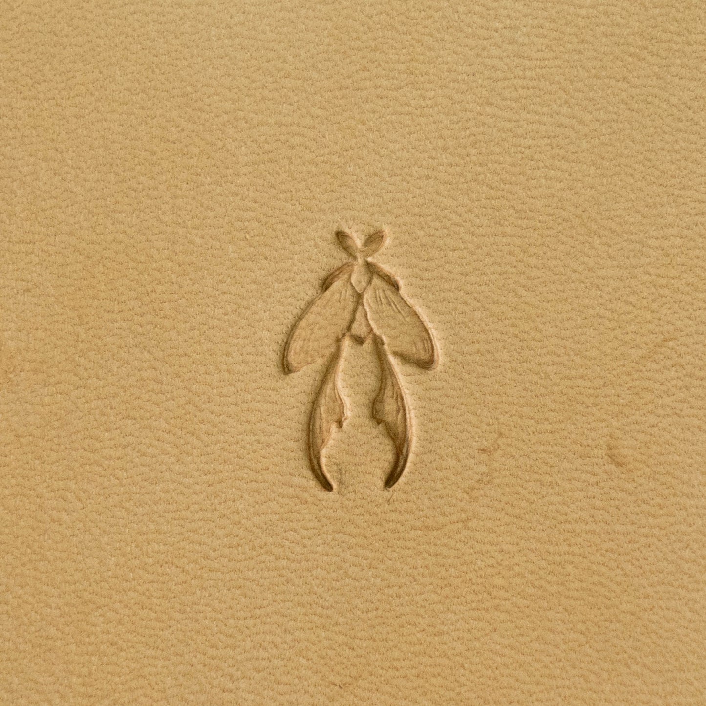 LT709 Animal Leather Stamping Tool for Professional Crafters – jellyfish 12x21mm (7/15" x 5/6")