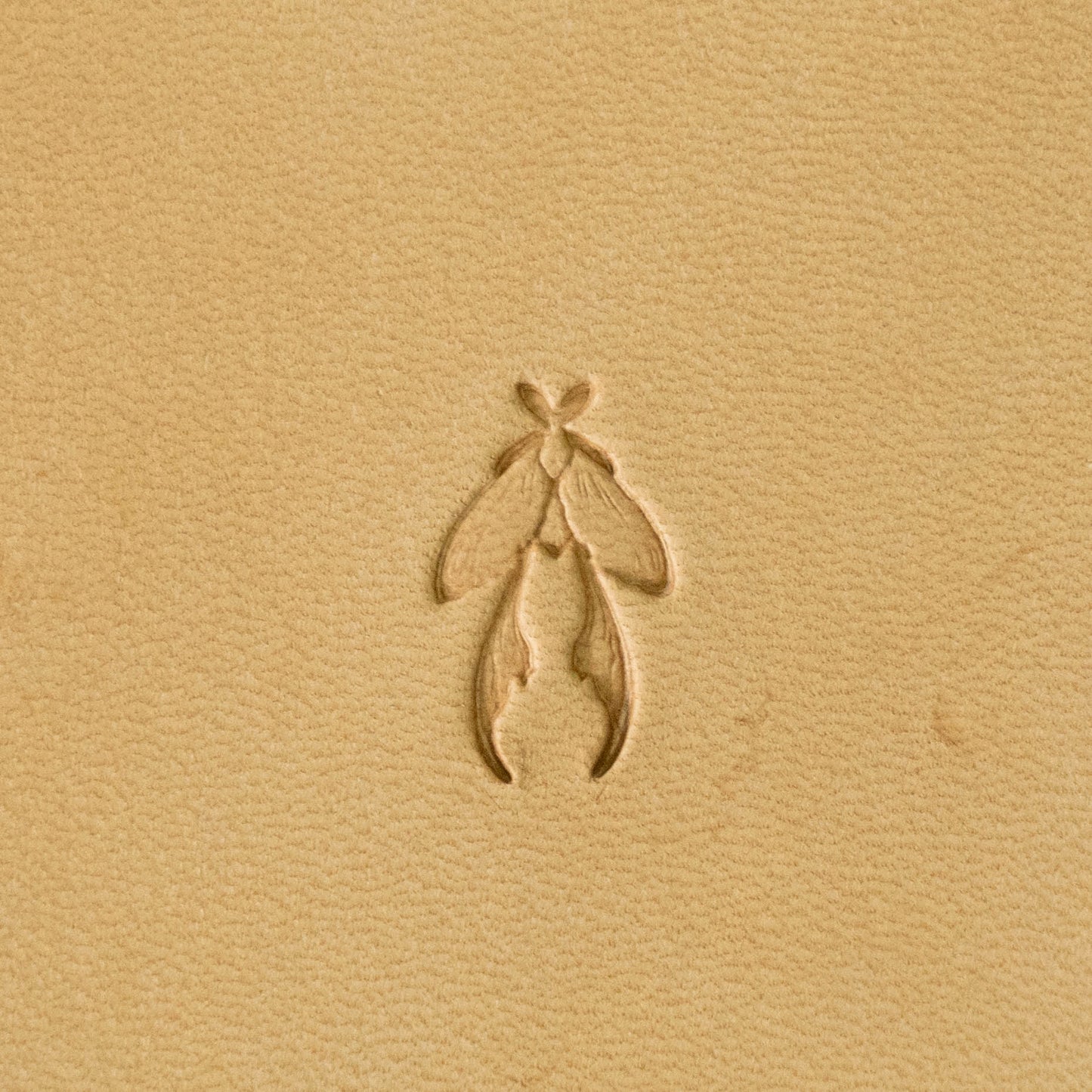 LT709 Animal Leather Stamping Tool for Professional Crafters – jellyfish 12x21mm (7/15" x 5/6")