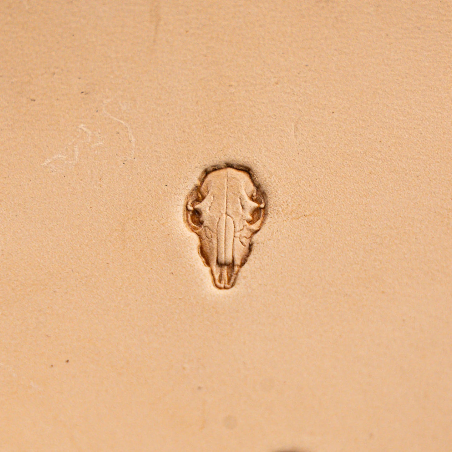 Skull Leather Stamp – Longhorn