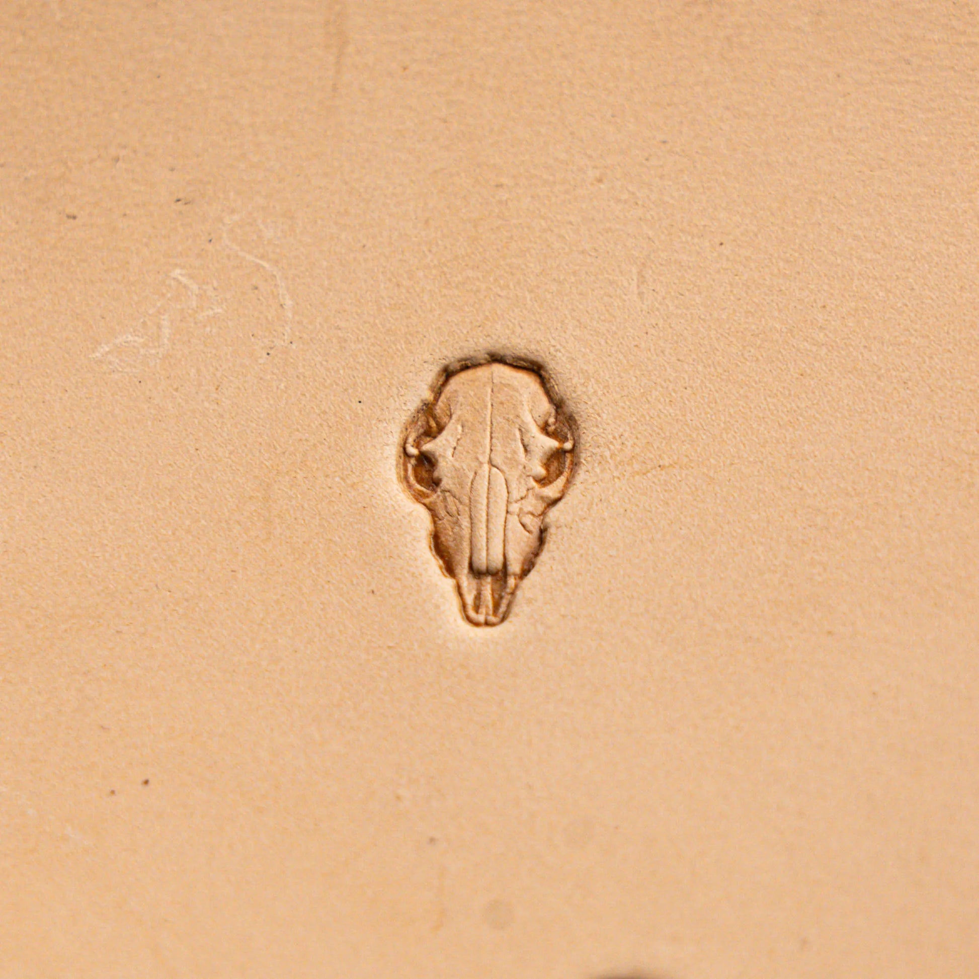 Skull Leather Stamp – Longhorn