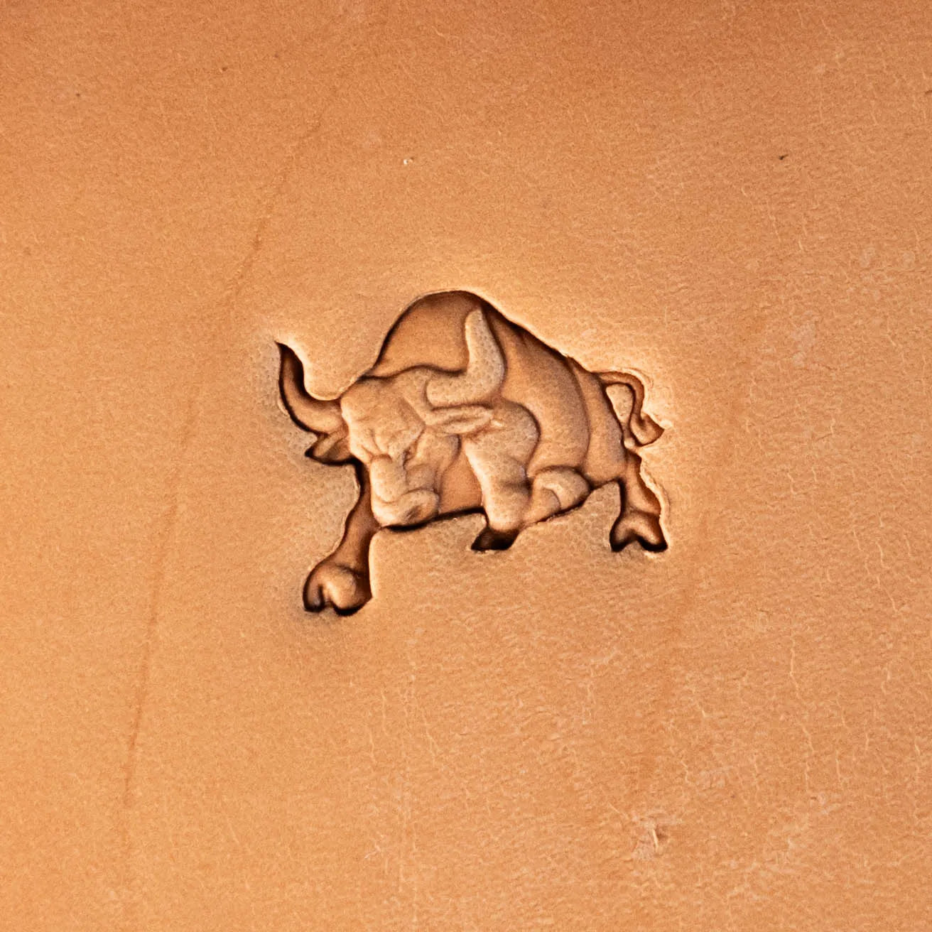LT626 Bull Leather Stamping Tool–Charging Bull 20x16mm (11/14" x 5/8")