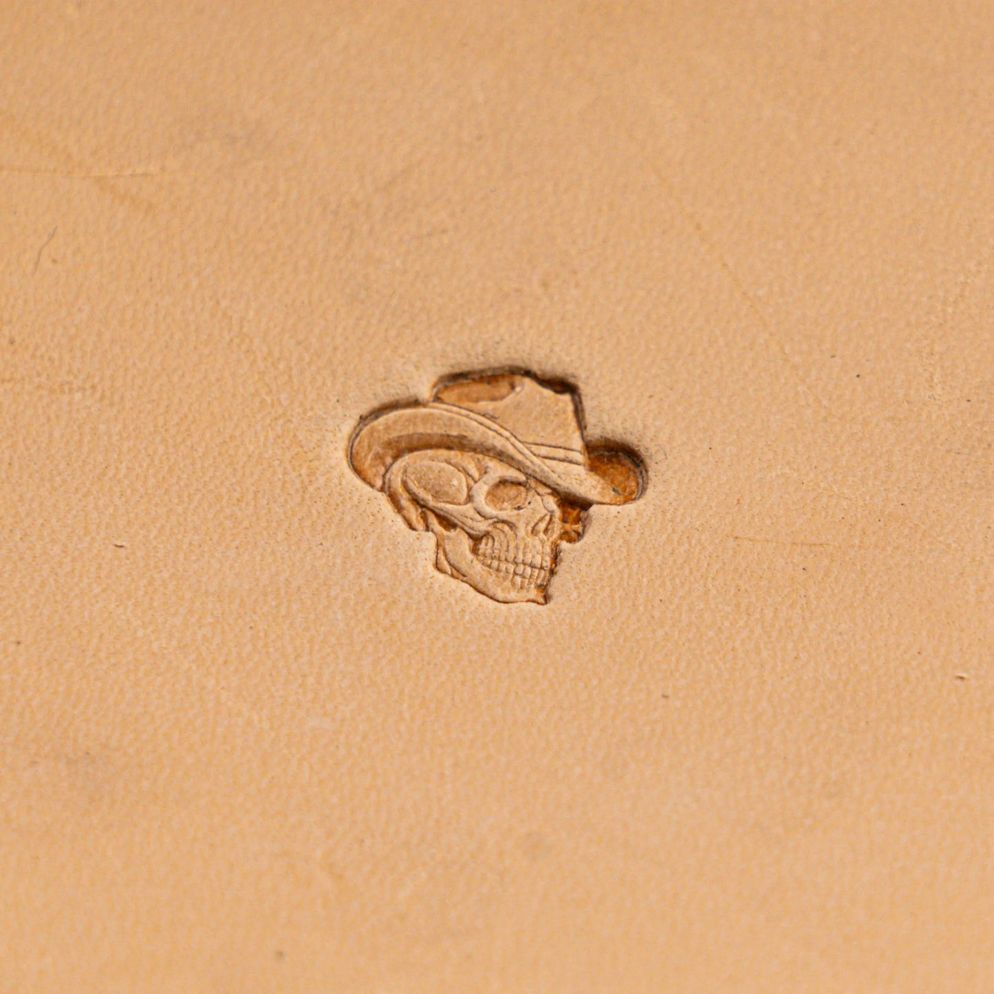 LT564 Skull Leather Stamping Tool–Cowboy Hat Skull 17x16mm (2/3" x 5/8")