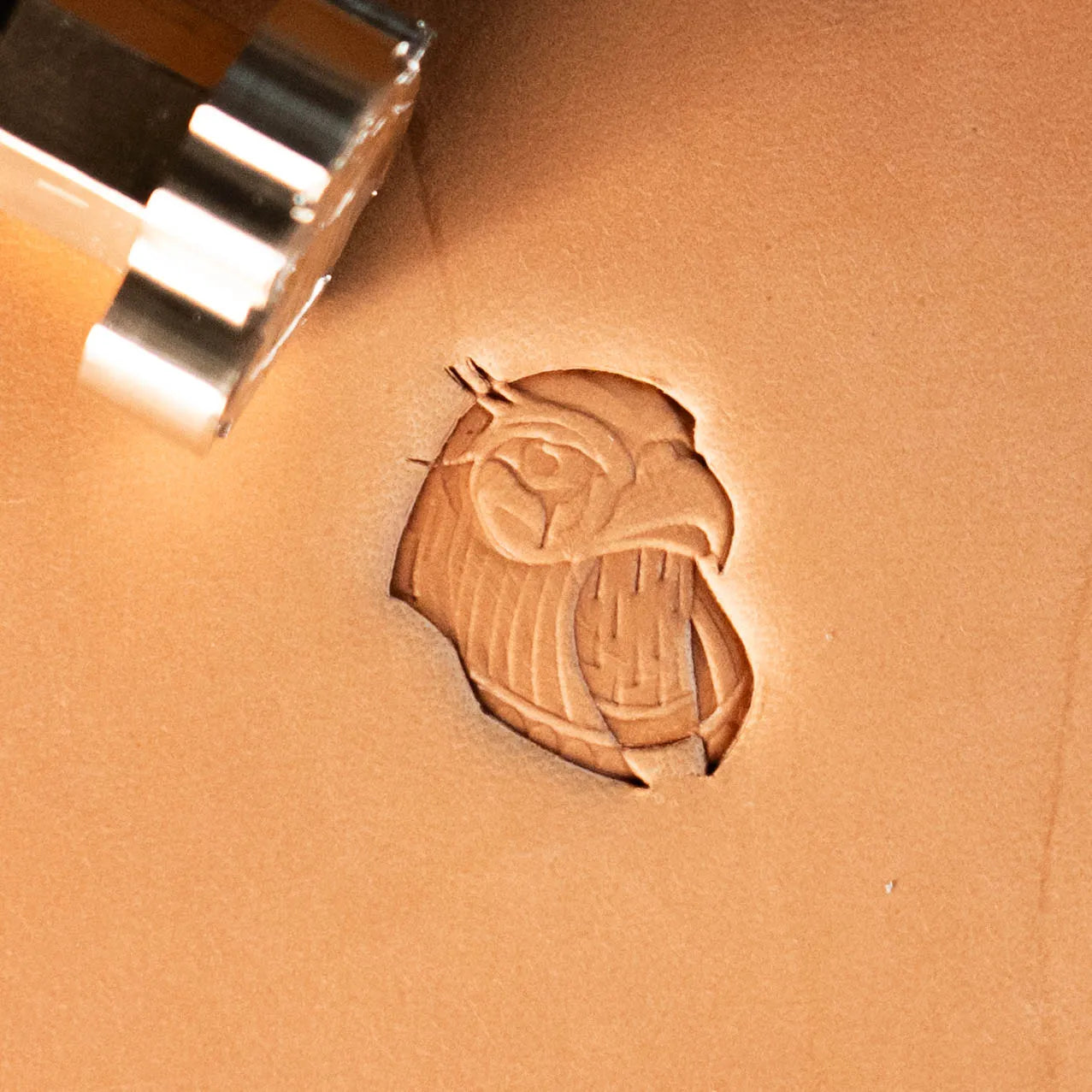 LT625 Eagle Leather Stamping Tool–Fierce Head 17x21 Eagle 17x21mm (2/3" x 5/6")