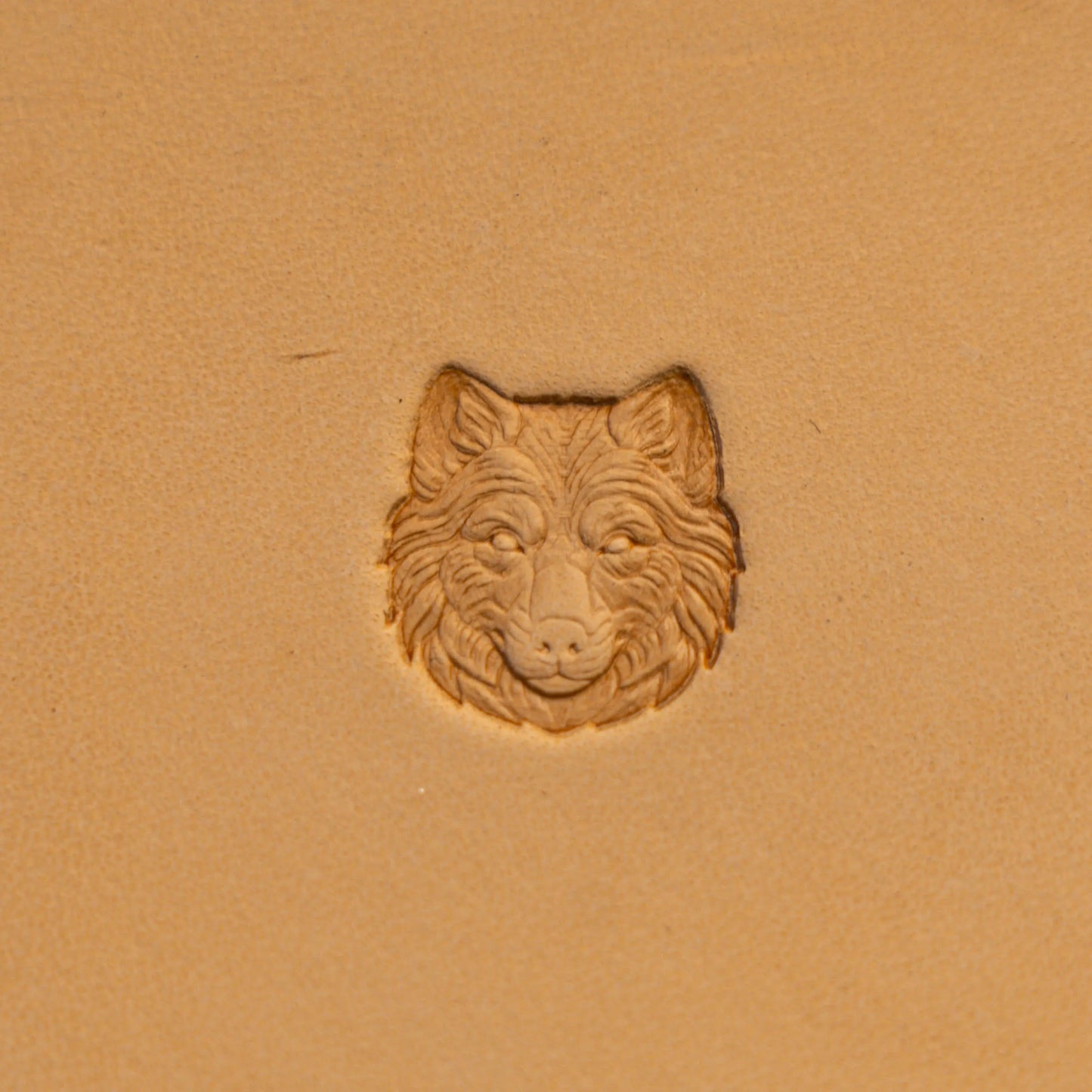 LT589 Wolf Leather Stamping Tool–Fluffy Face Wolf 19x20mm (3/4" x 11/14")