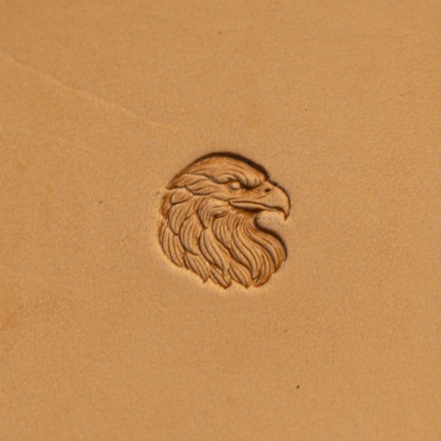 LT590 Eagle Leather Stamping Tool–Head Eagle 17x18mm (2/3" x 5/7")