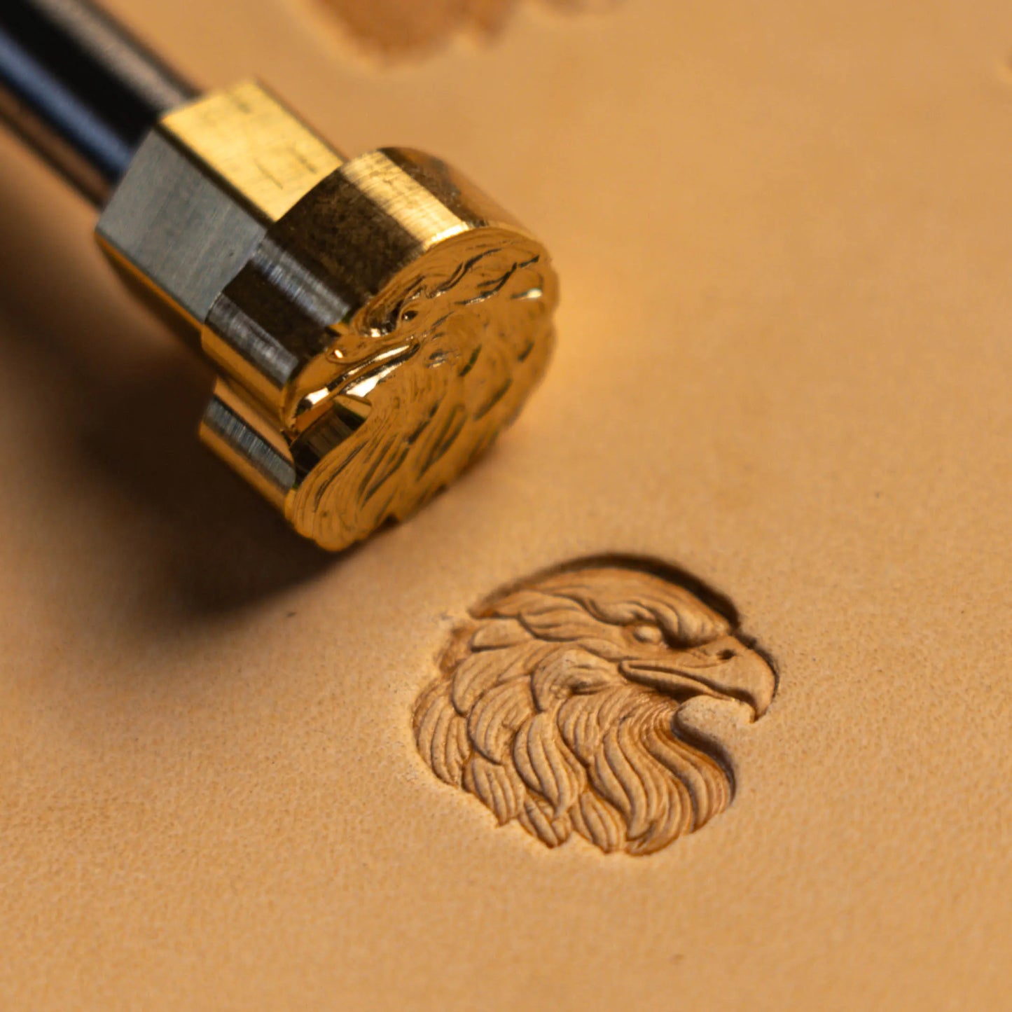 Eagle Leather Stamp – Fierce Head