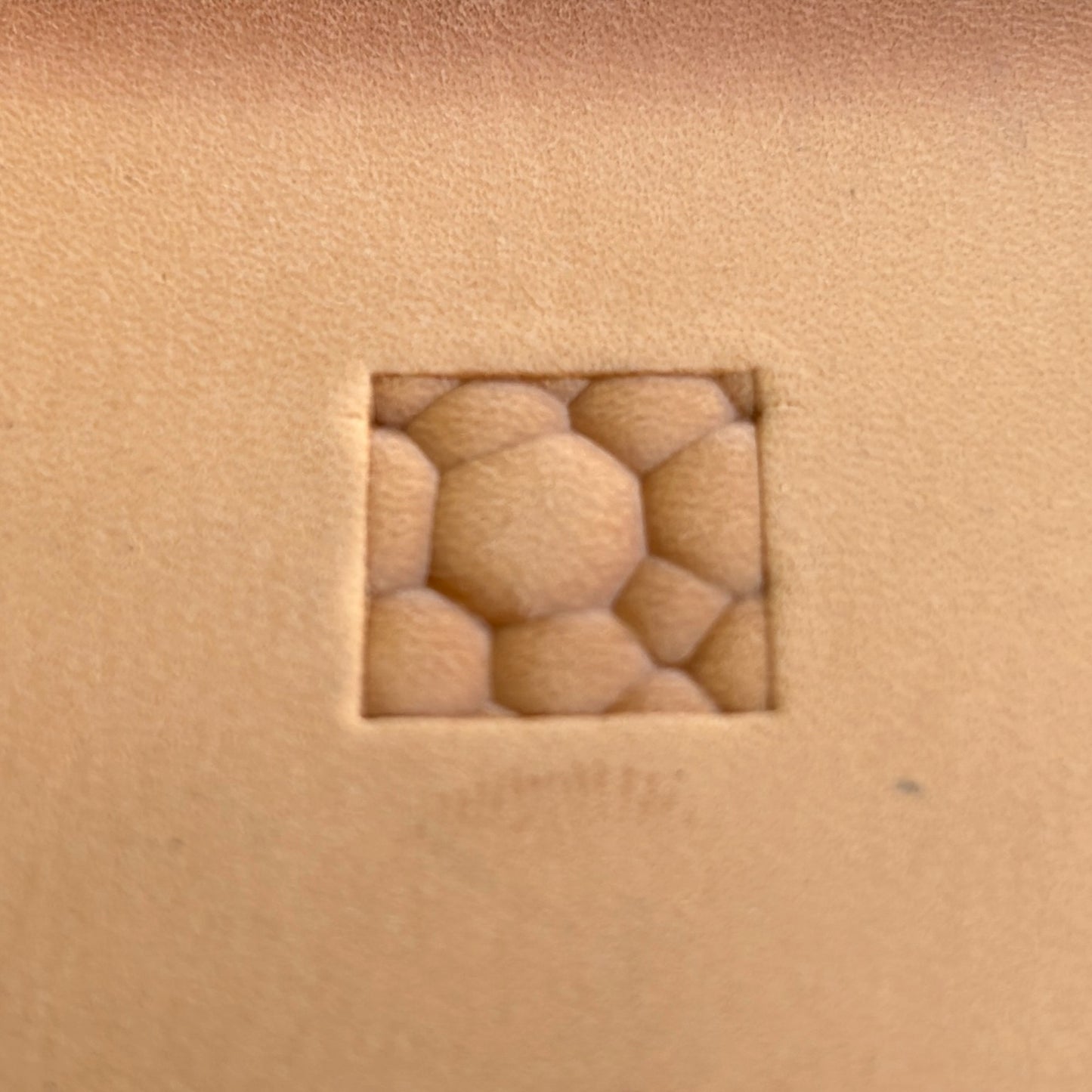 Bubble Style leather stamp LT084 — single impression on veg-tan leather