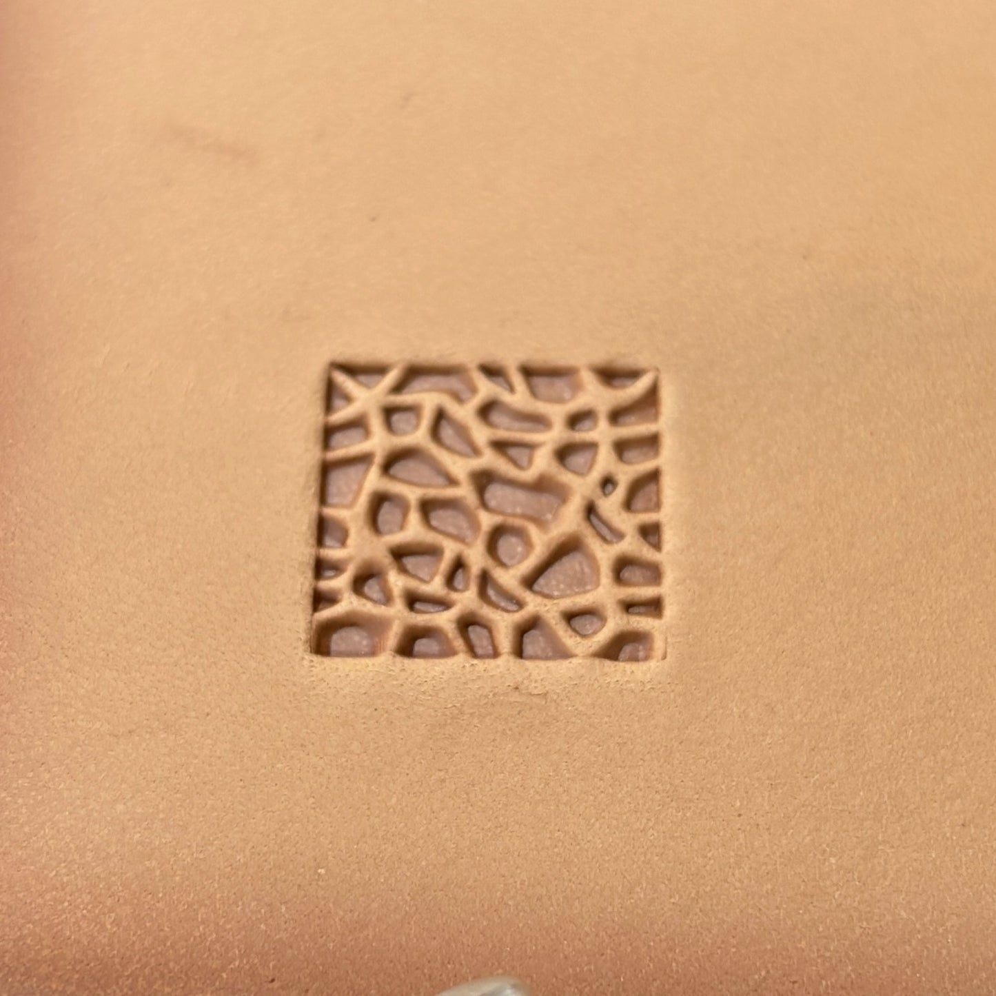Mosaic Texture leather stamp LT114 — single impression on veg-tan leather