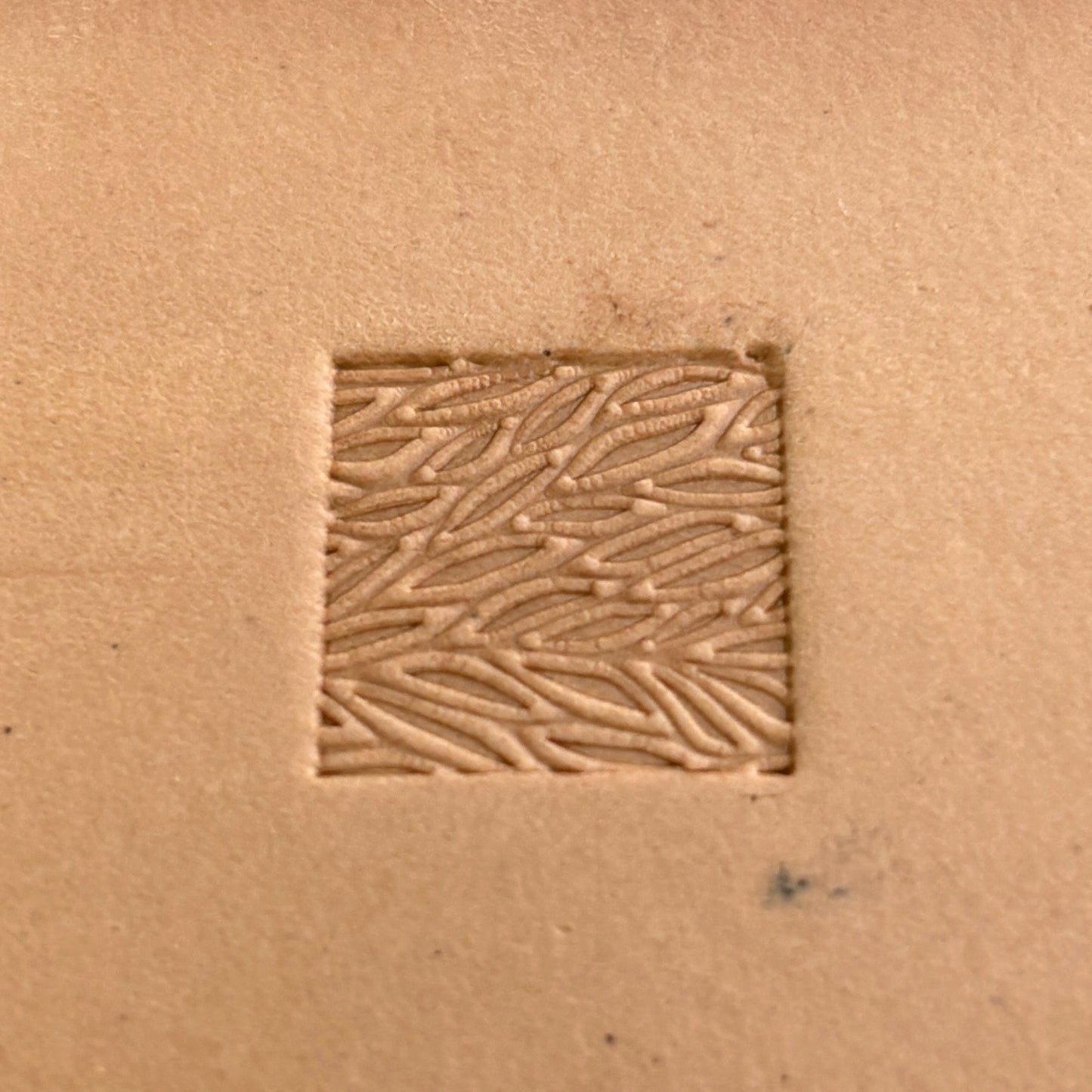 Leafy Texture leather stamp LT138 — single impression on veg-tan leather