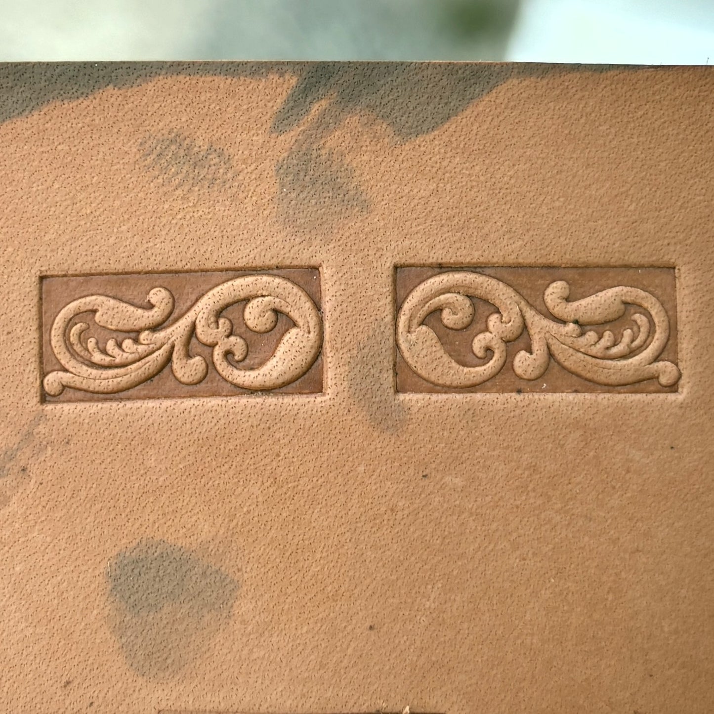 Ornamental Border 1 leather stamp LT147 — single impression on veg-tan leather