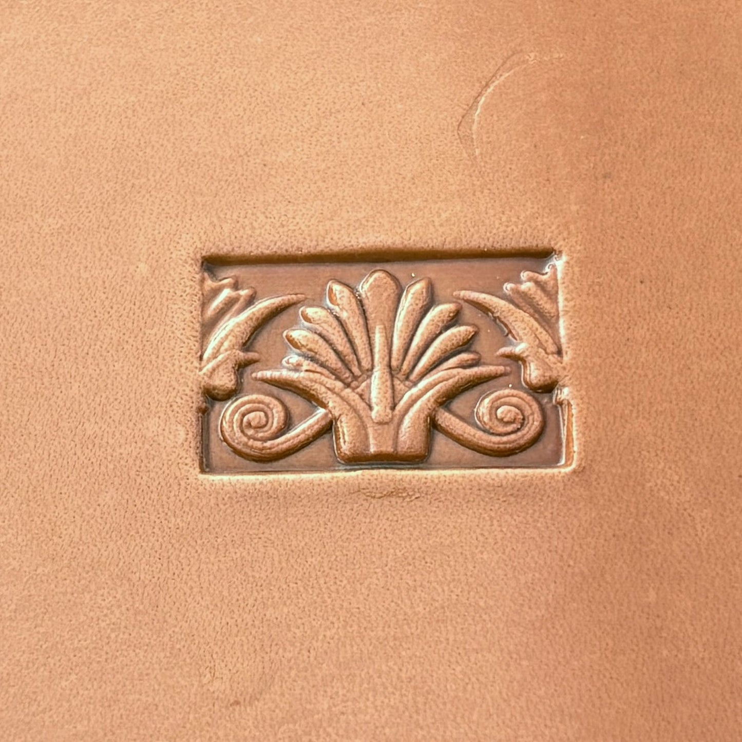 Ornamental Border leather stamp LT161 — single impression on veg-tan leather