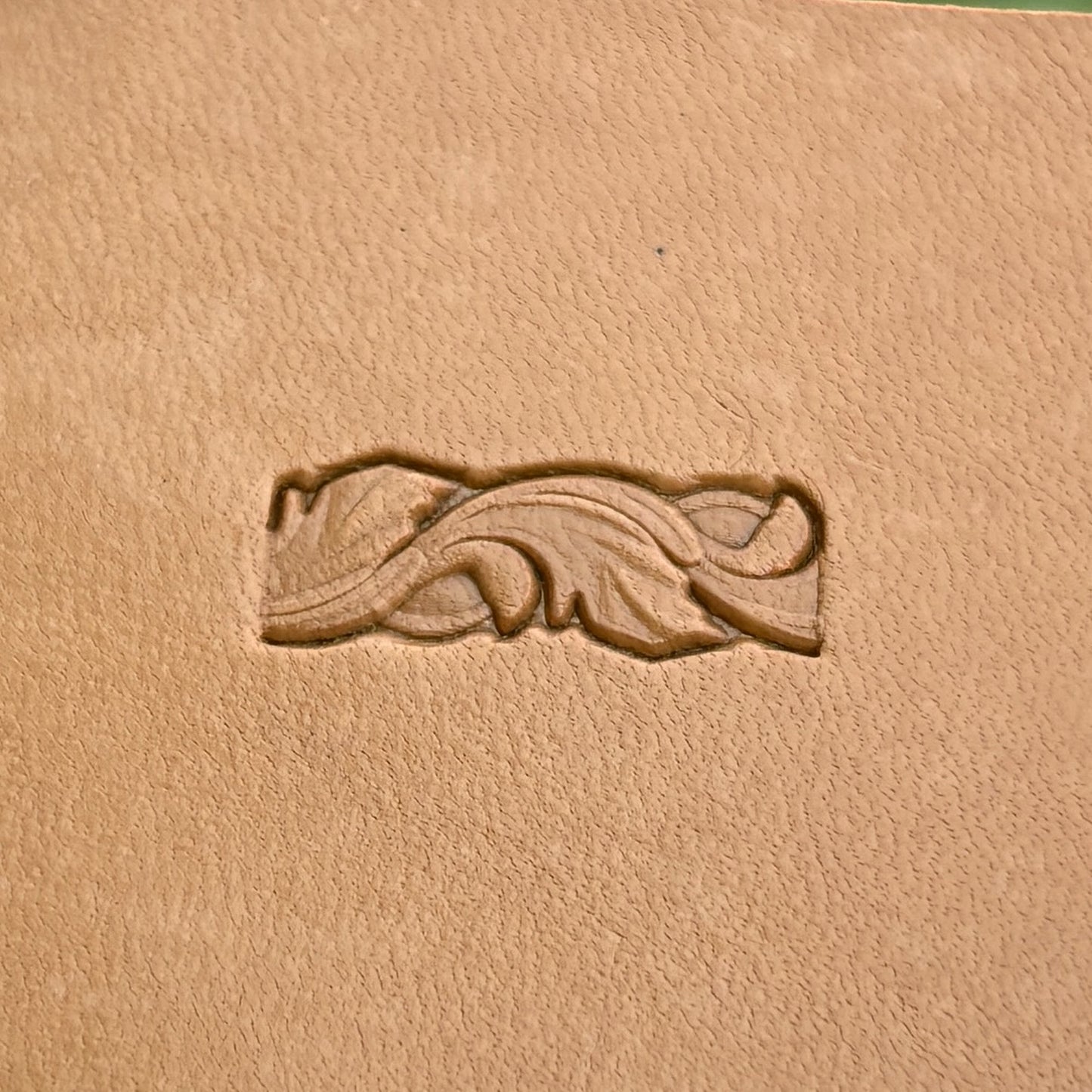 Border Leaf leather stamp LT173 — single impression on veg-tan leather