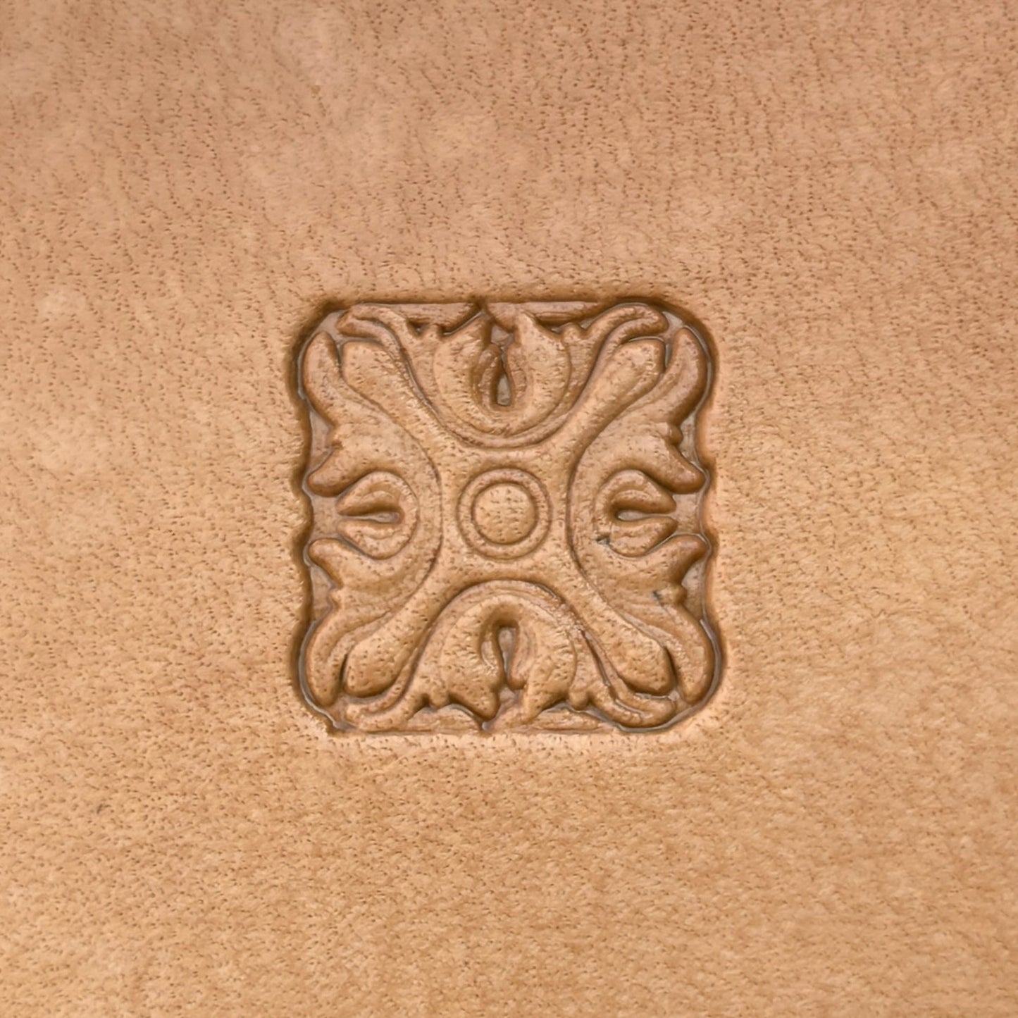 Ornate Border leather stamp LT176 — single impression on veg-tan leather