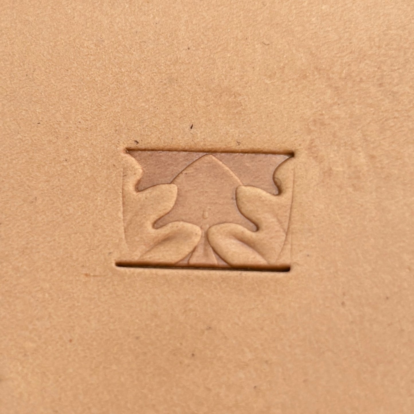 Oak Leaf leather stamp LT192 — single impression on veg-tan leather