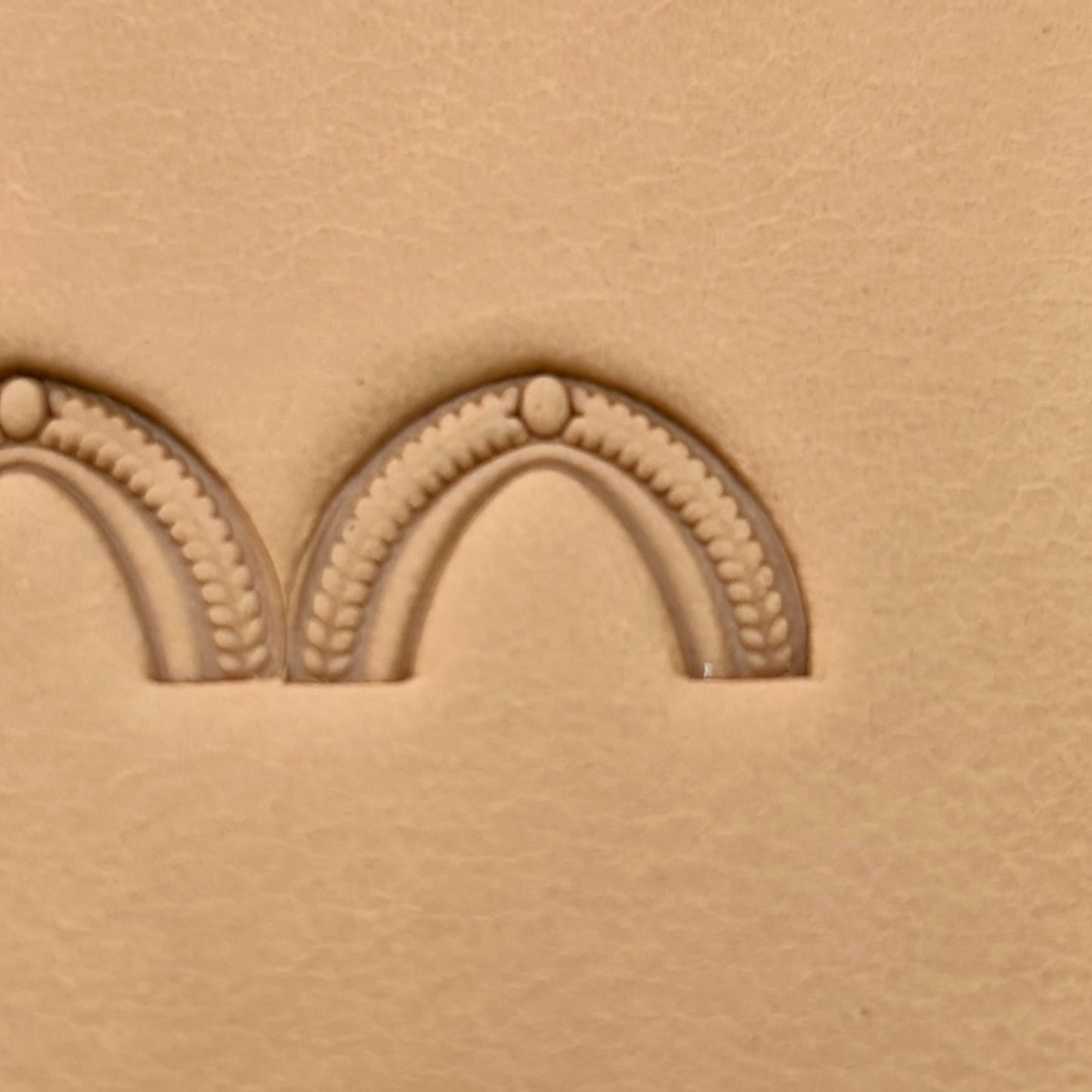 Arch Border leather stamp LT196 — single impression on veg-tan leather