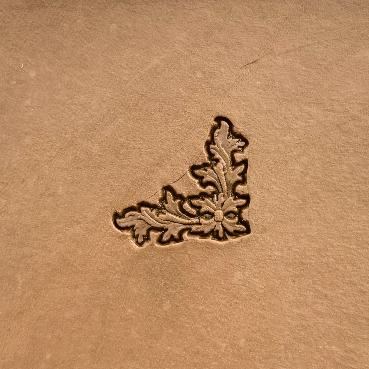 Border Frame Oak Leaf leather stamp LT199 — single impression on veg-tan leather